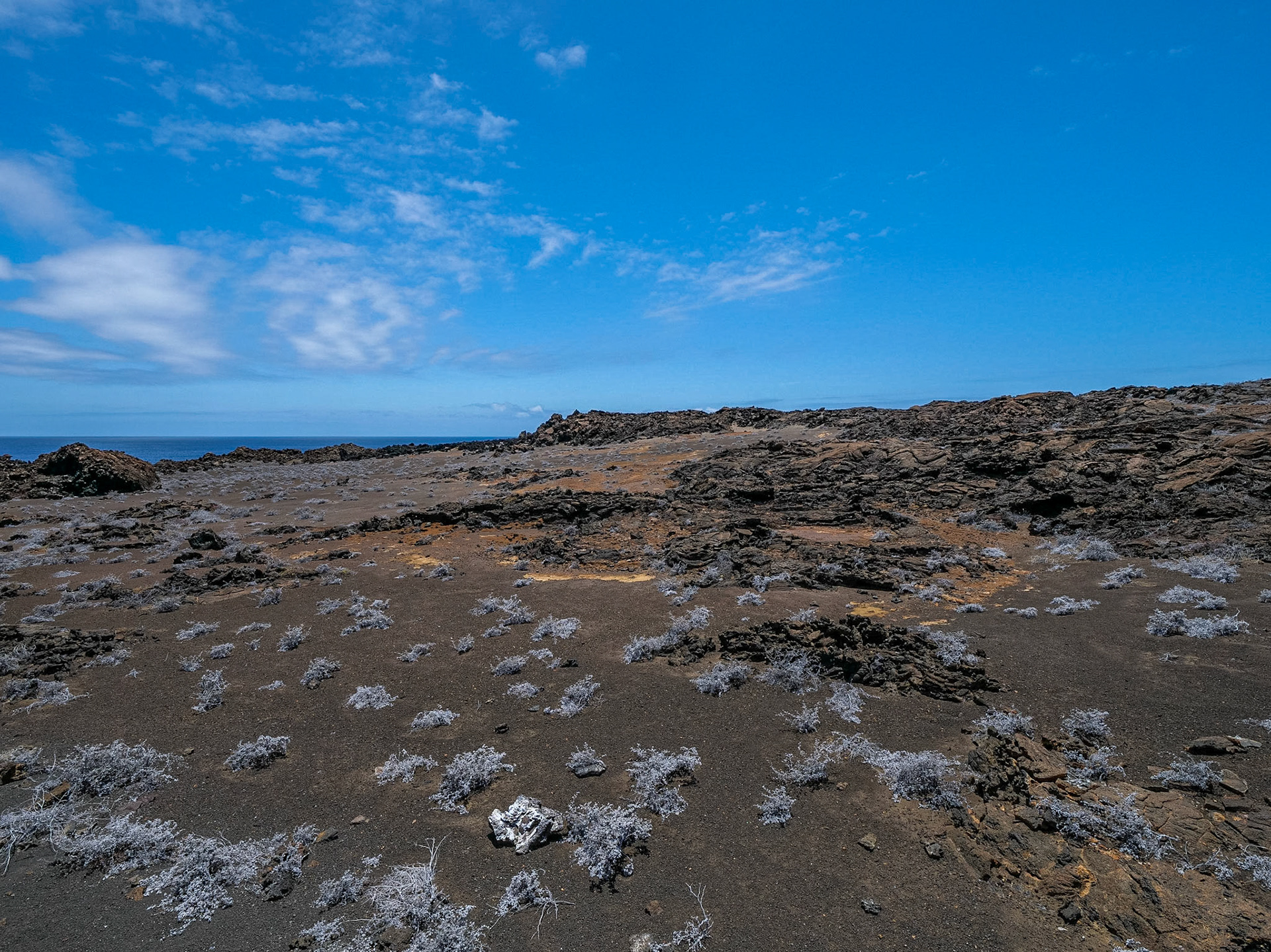 P1001659 Bartolomé Island Galapagos