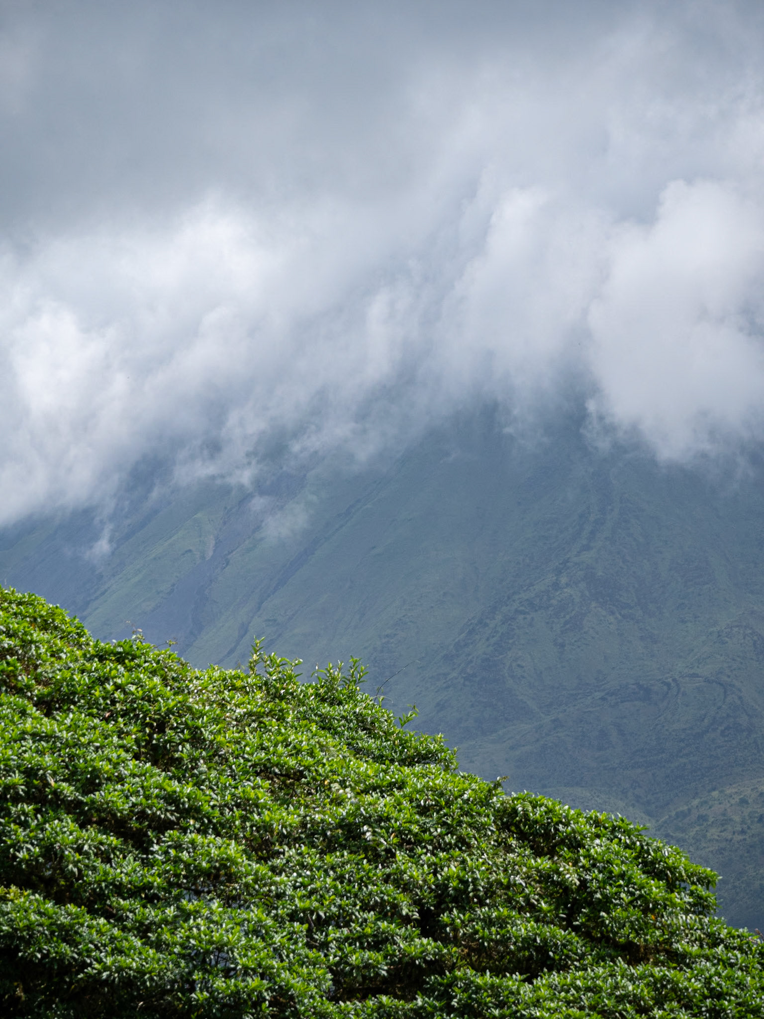P1158181 Low hanging clouds over the volcano