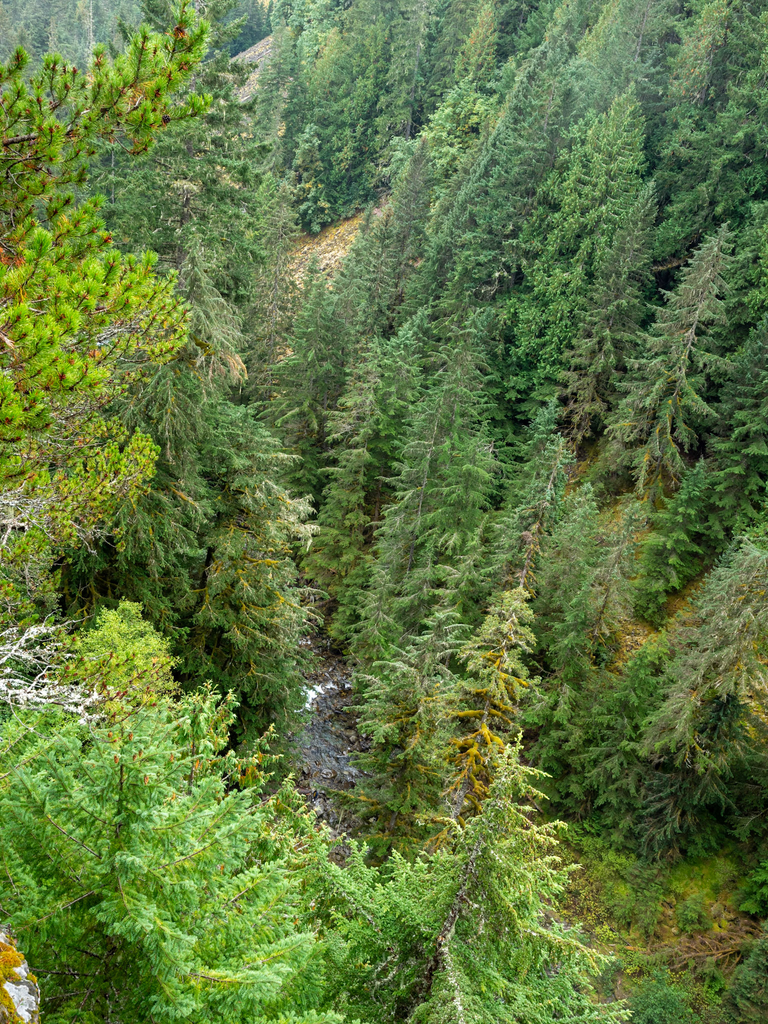 Brandywine Falls Lookout Trail