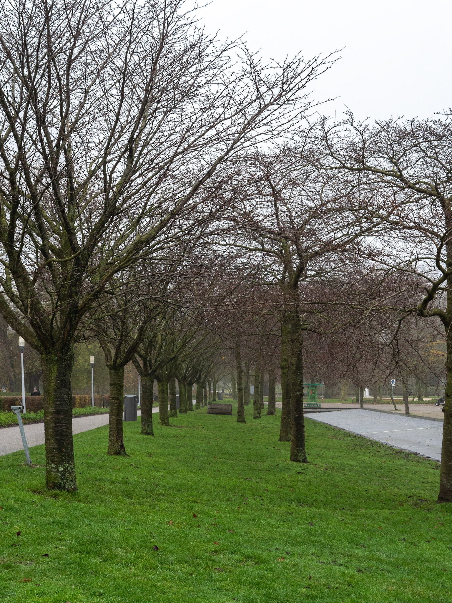 P1068814 Westerpark