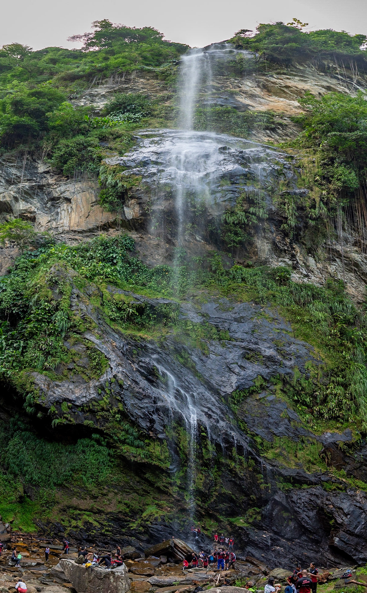 P1123386 Front view of Maracas Watefall showing its full height