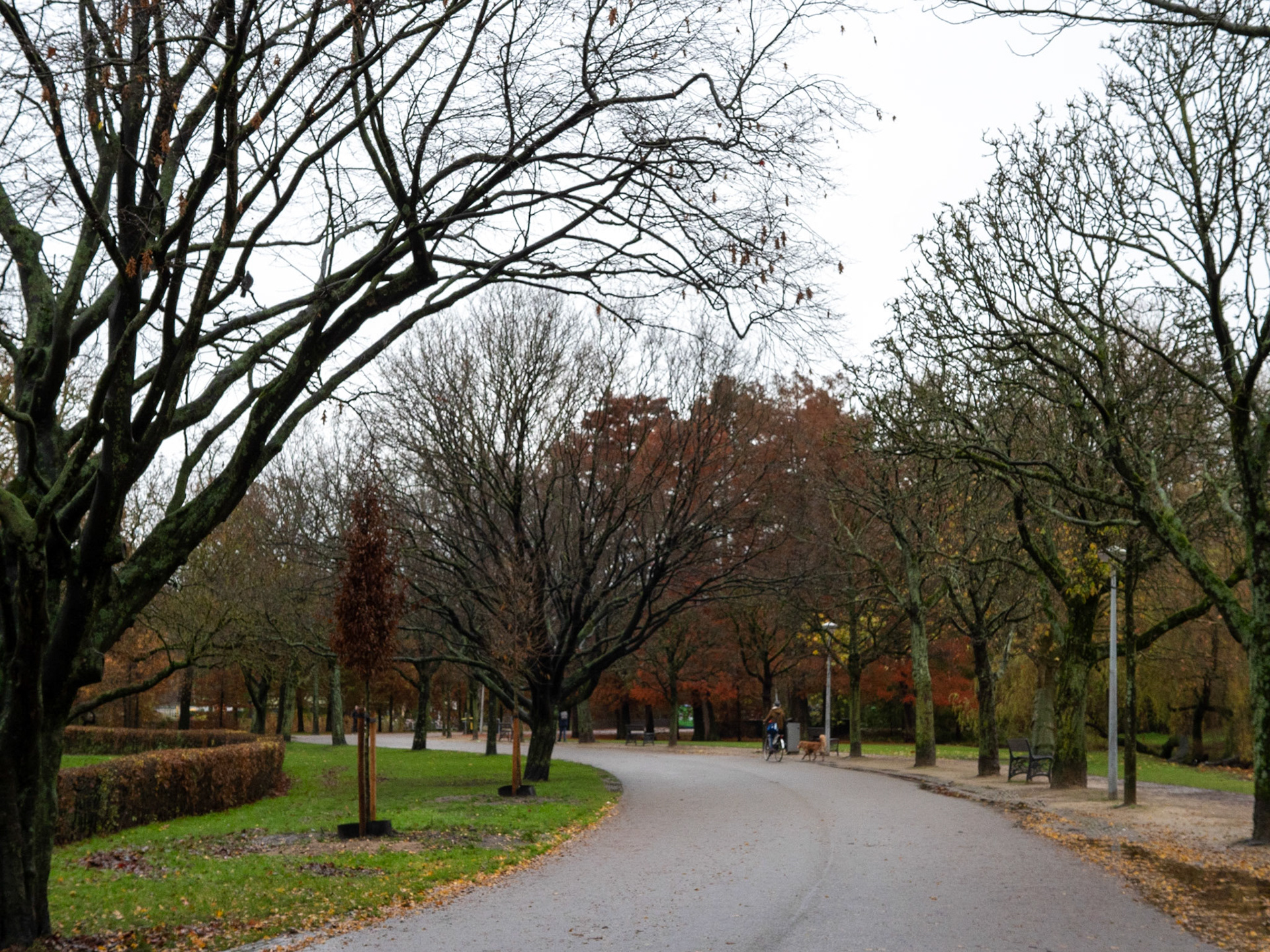P1068251 Vondelpark