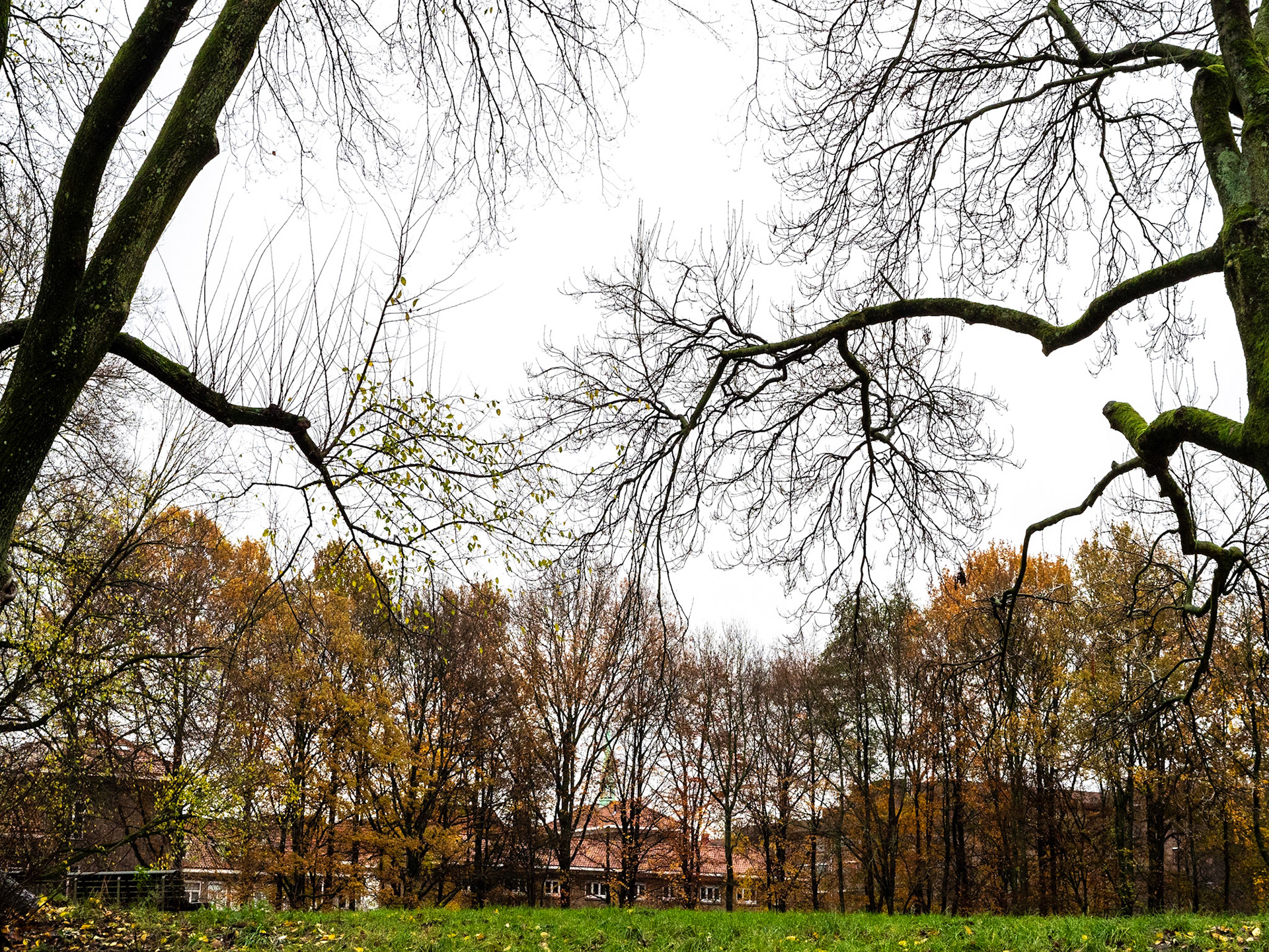 P1068205 Rembrandtpark