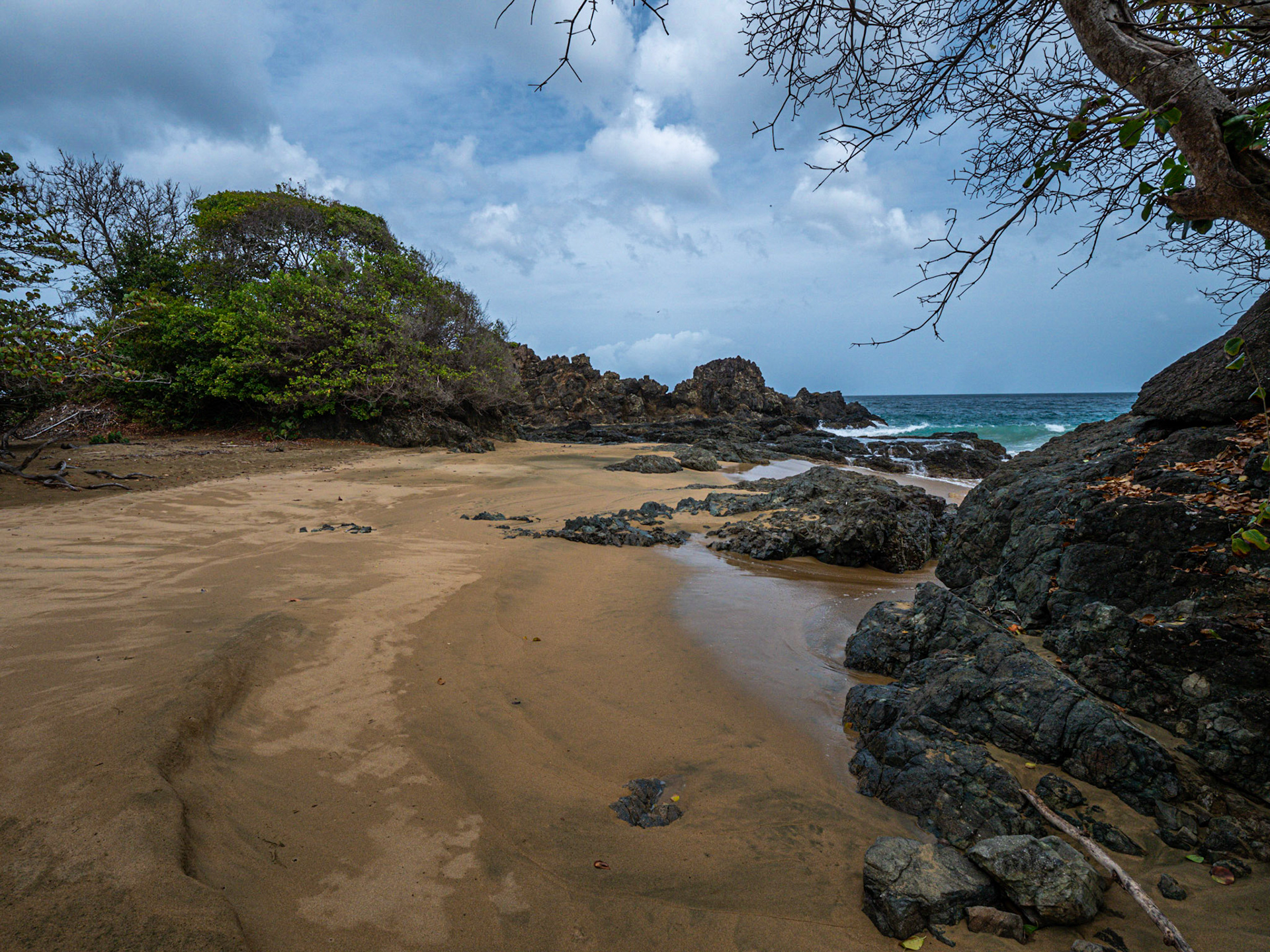 P1066341 West Coastline Black Rock Area