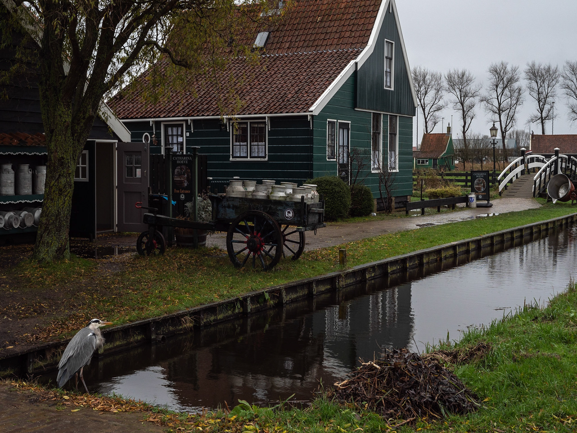 P1068430 Windmills of Zaanse Schans