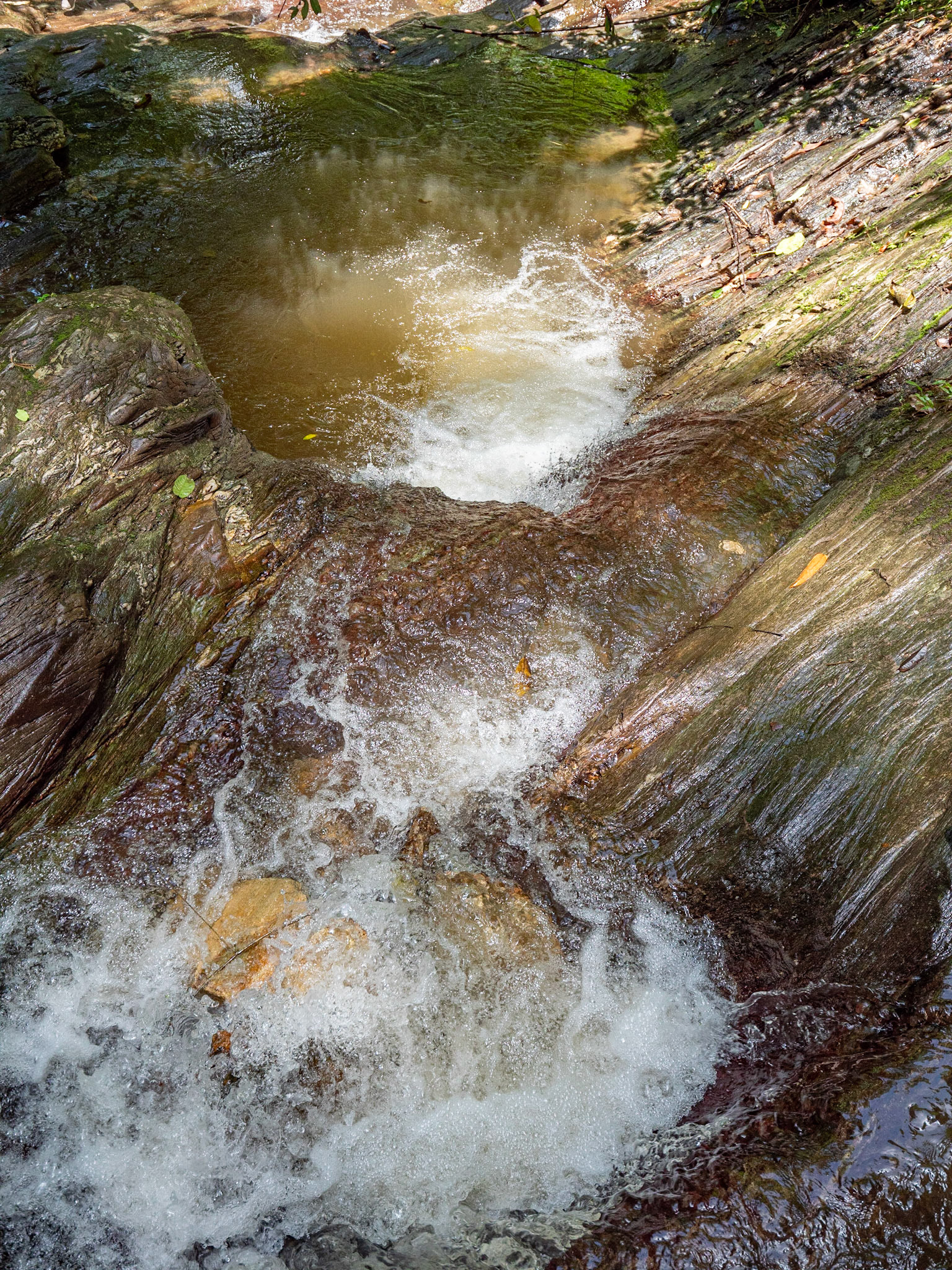 P1123441 Downstream flow
