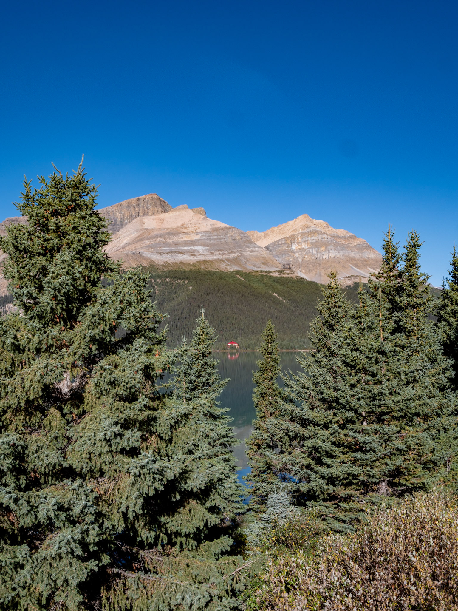 Bowlake Viewpoint