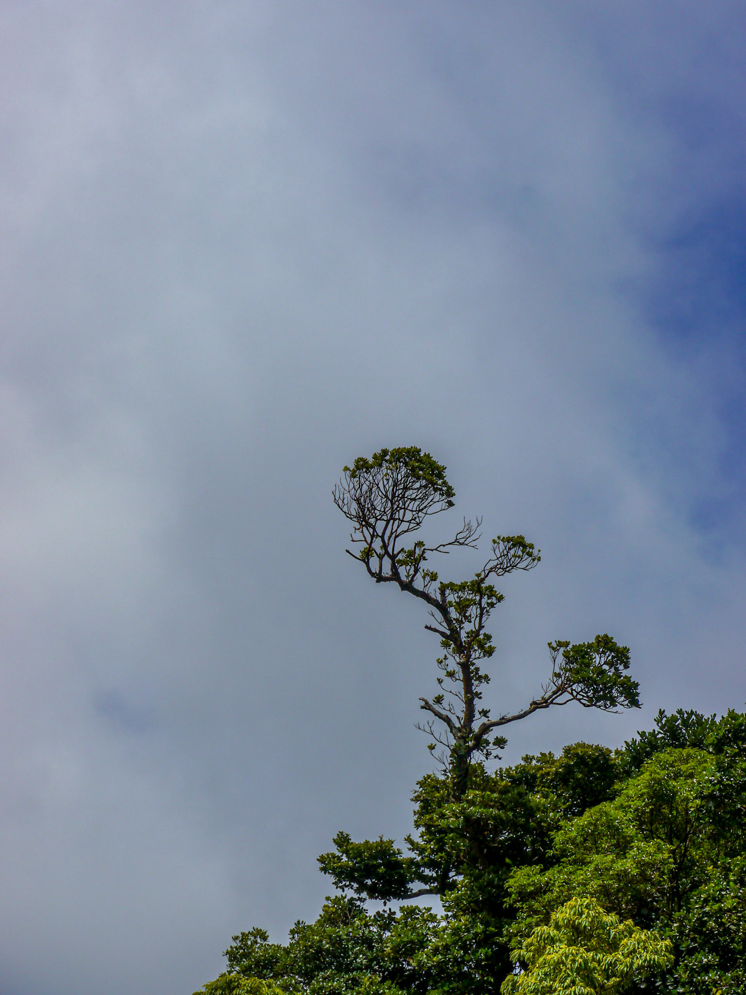 P1040581