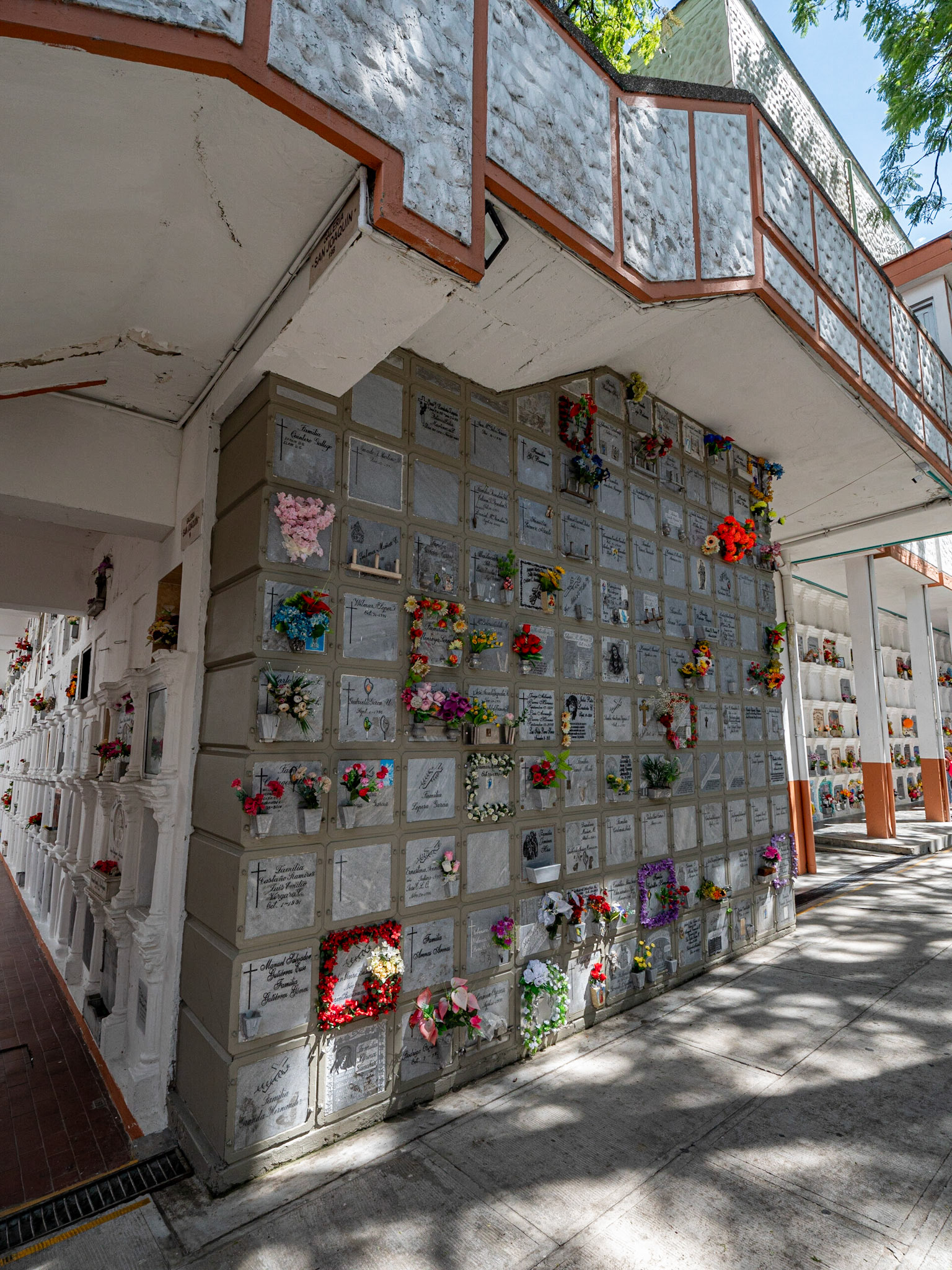 P1122524 Cementerio Museo San Pedro