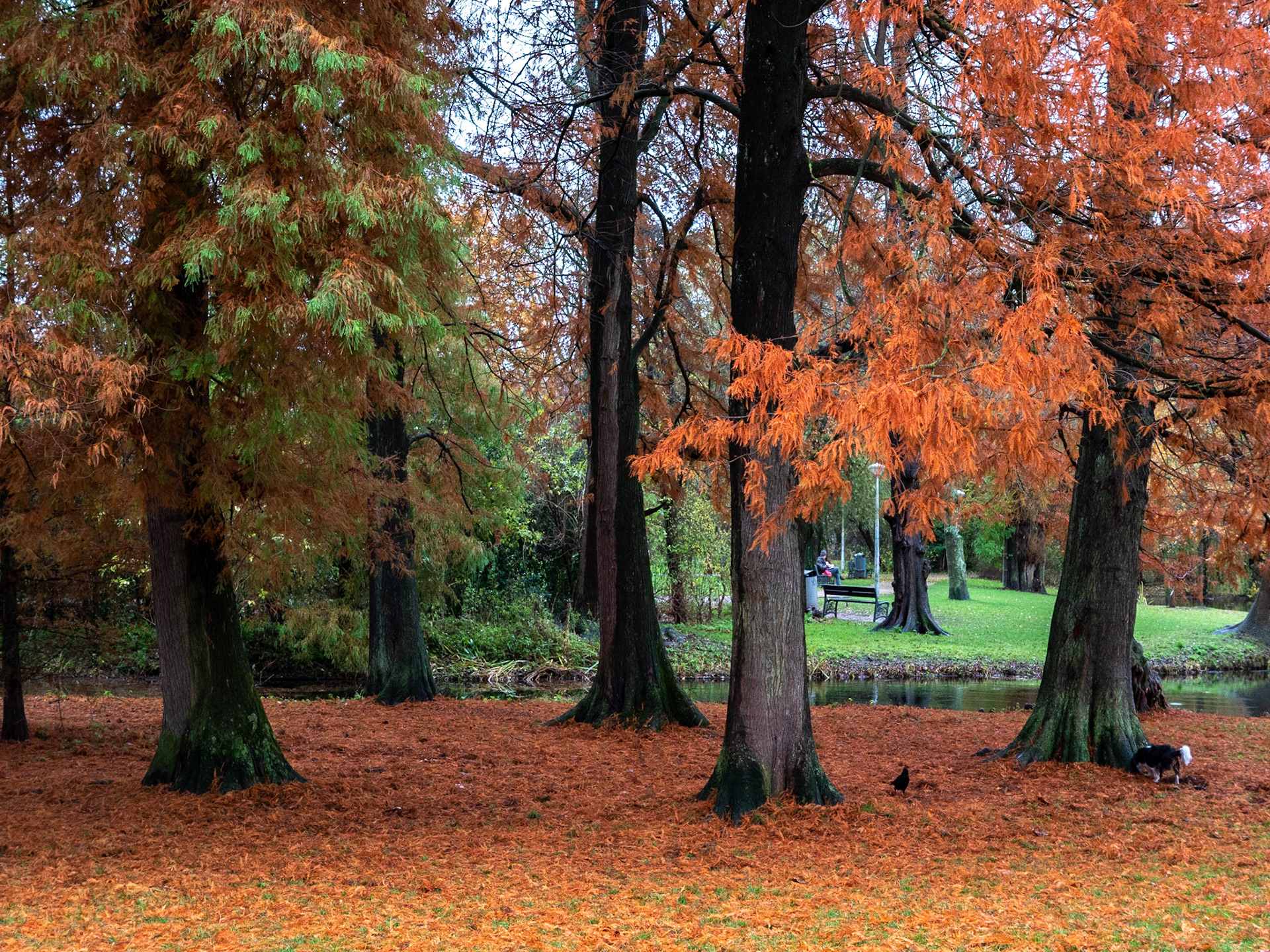 P1068268 Vondelpark