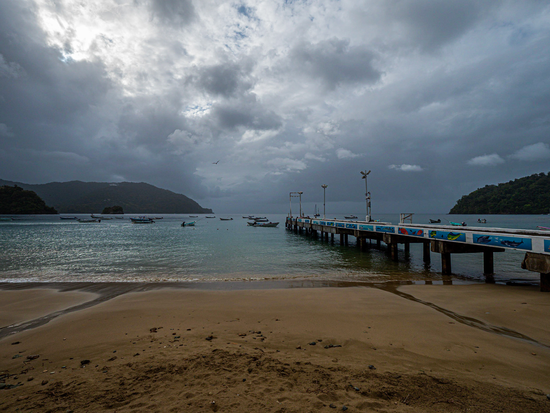 P1055098 Charlotteville