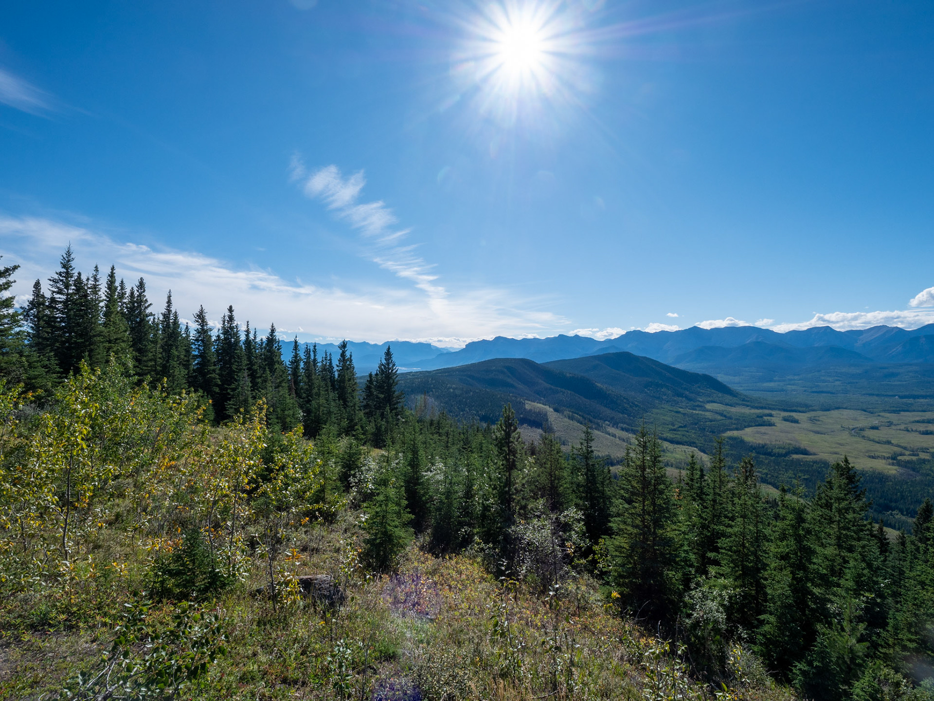 Athabasca Lookout Viewpoint