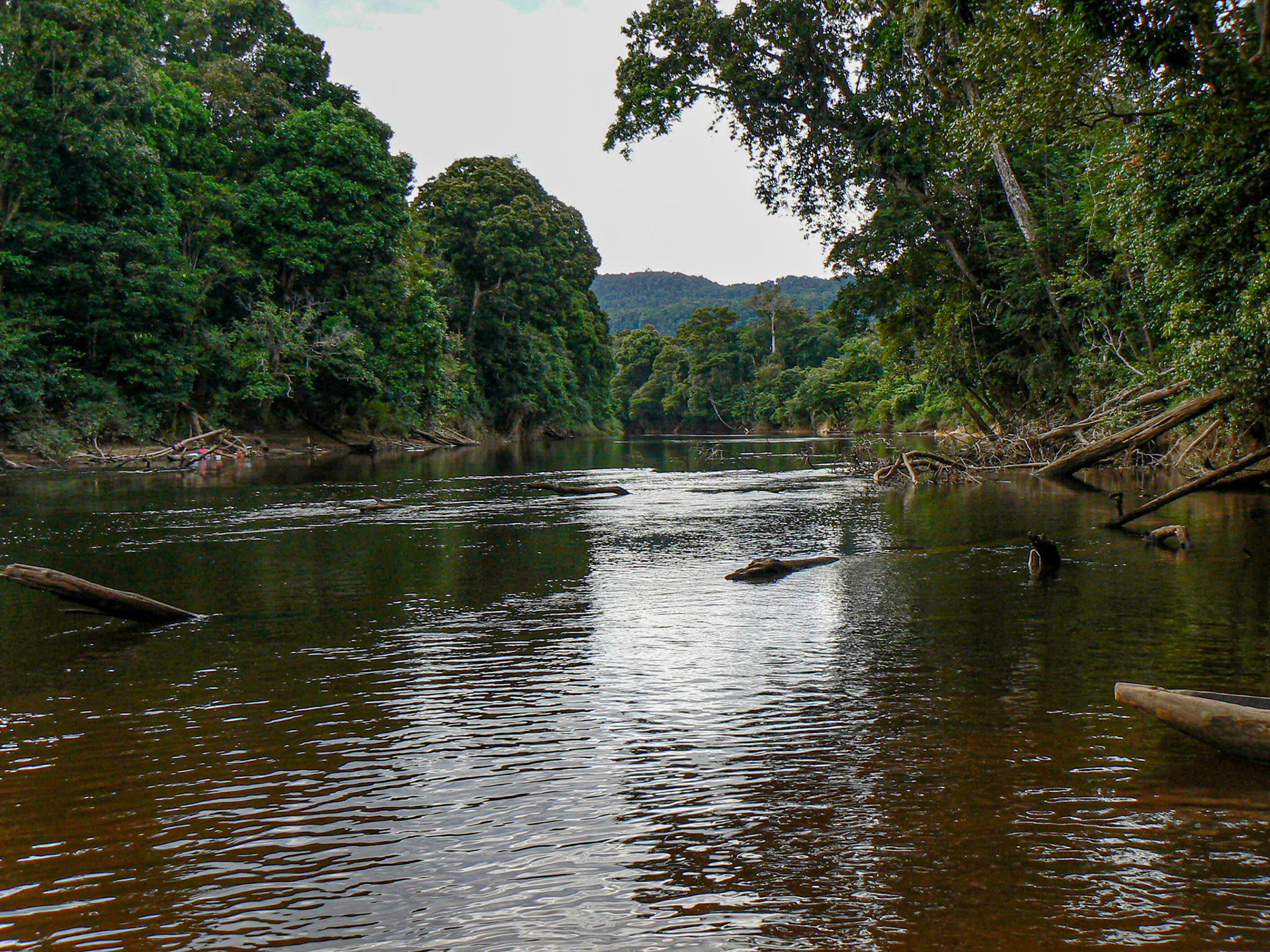 P1040816 Journey Upriver