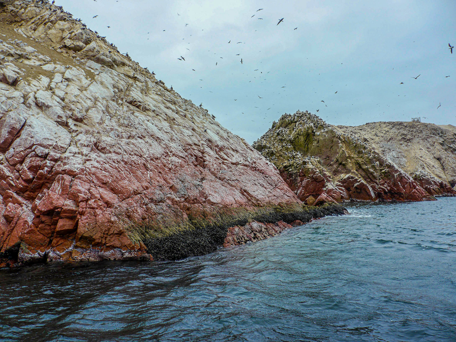 P1090634 Ballestas Islands