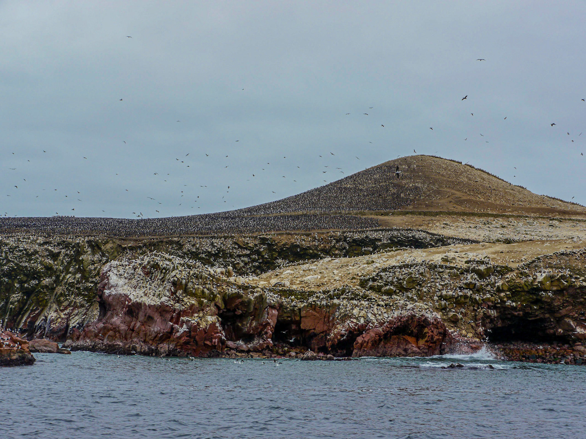 P1090684 Ballestas Islands