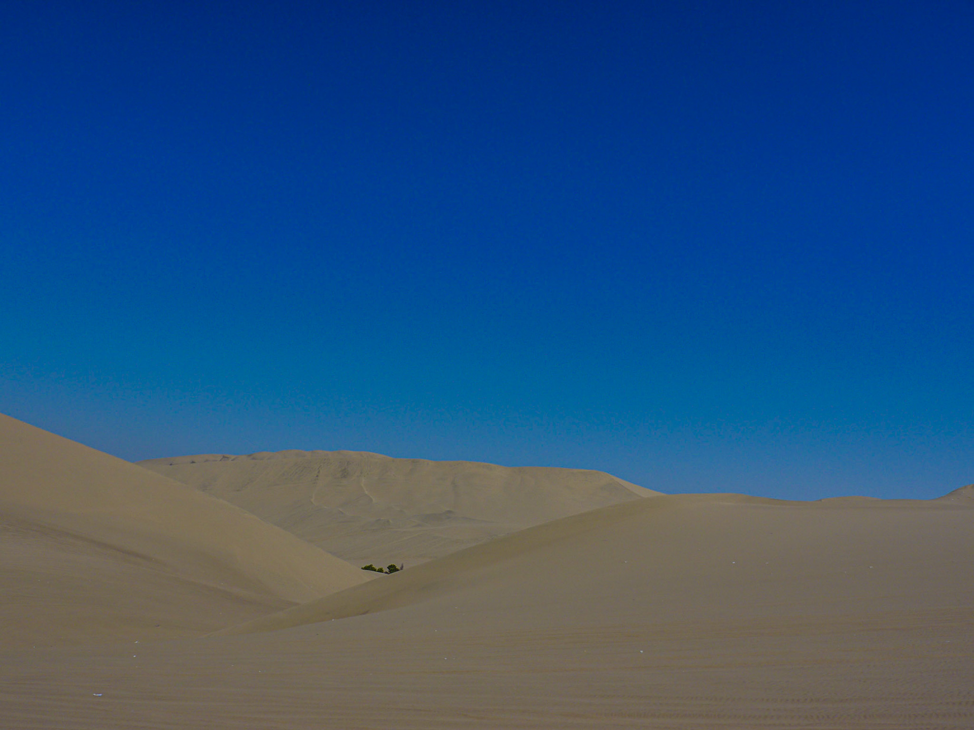 P1090794 Ica desert