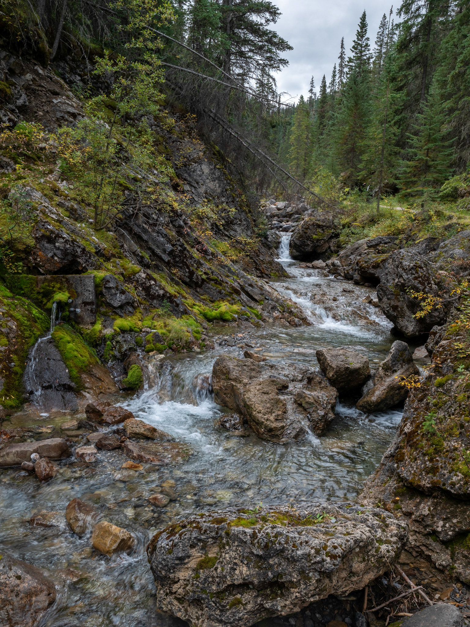 Miette Hot Springs