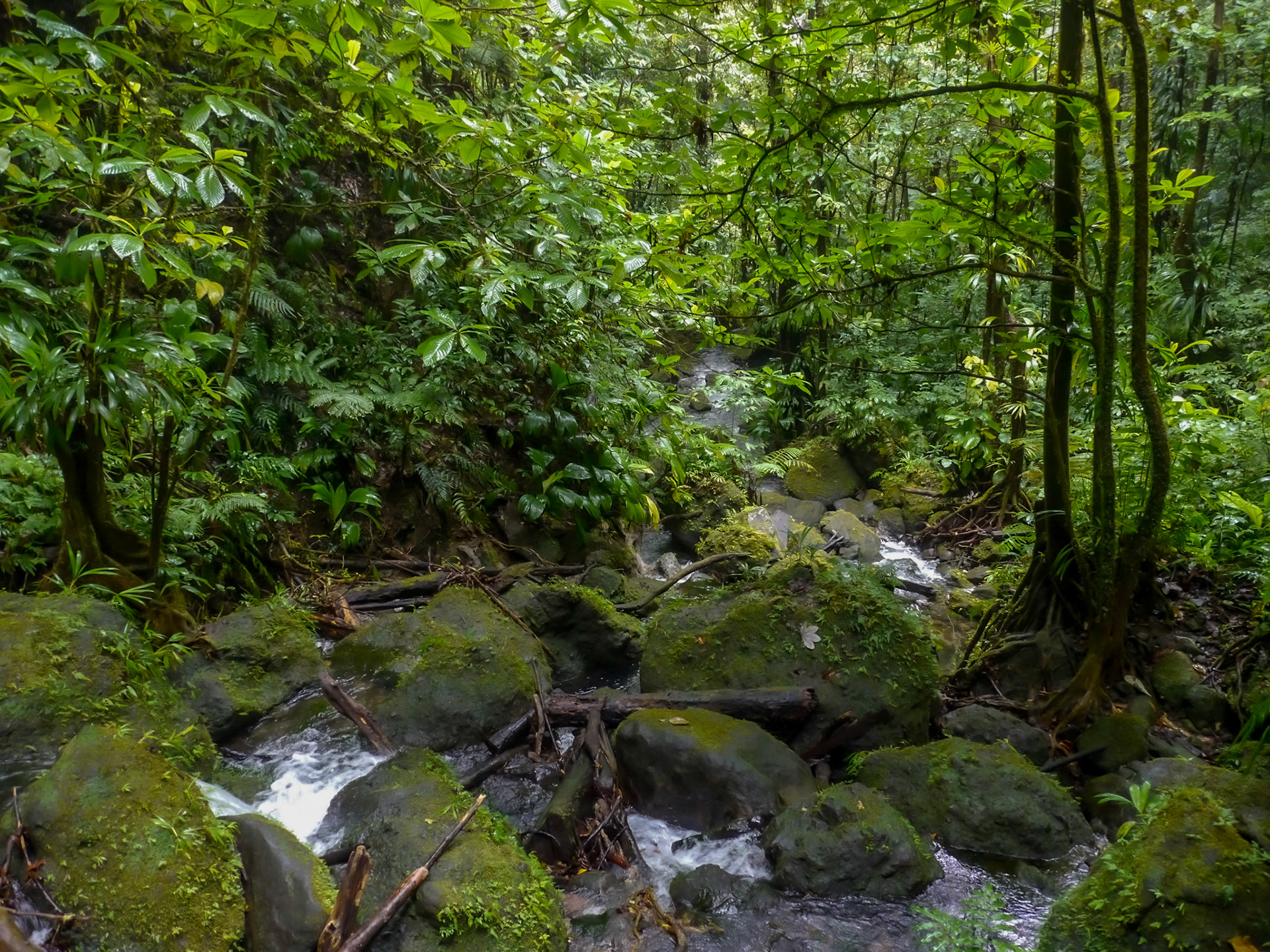 P1040978
