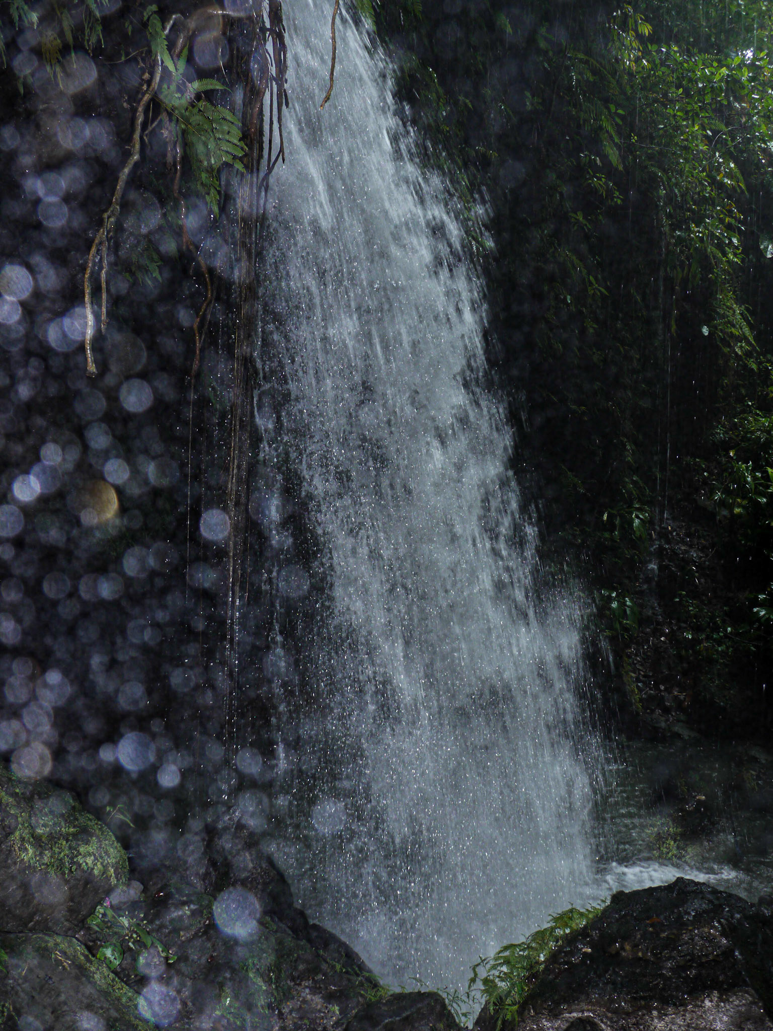 P1040504