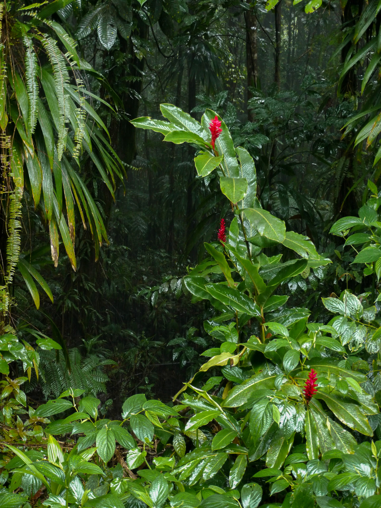 P1040492