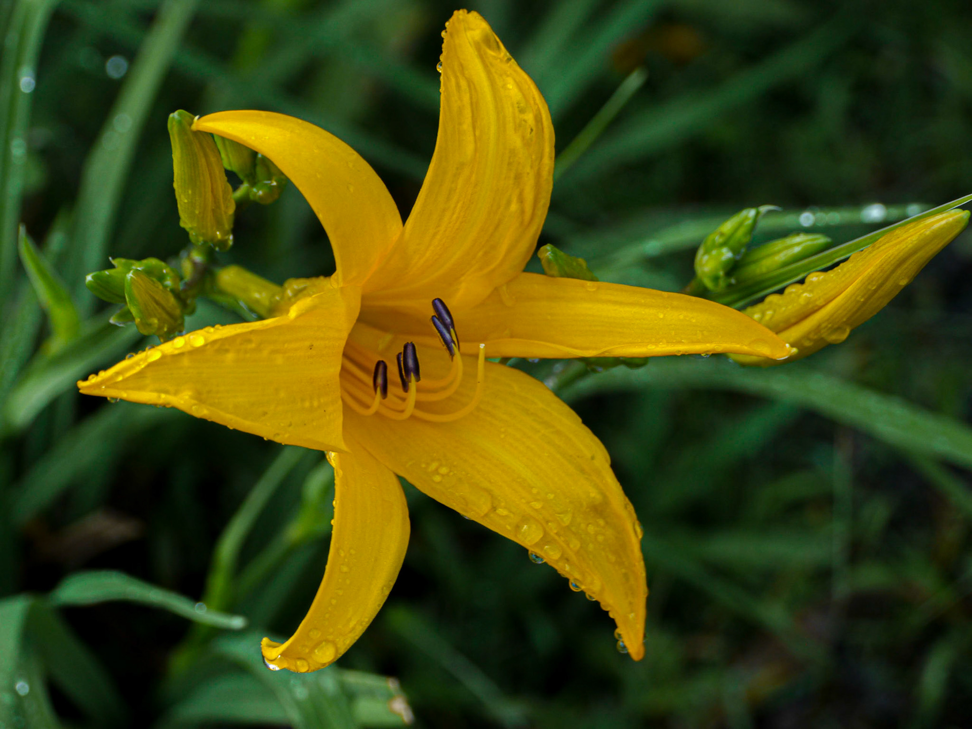 P1040444