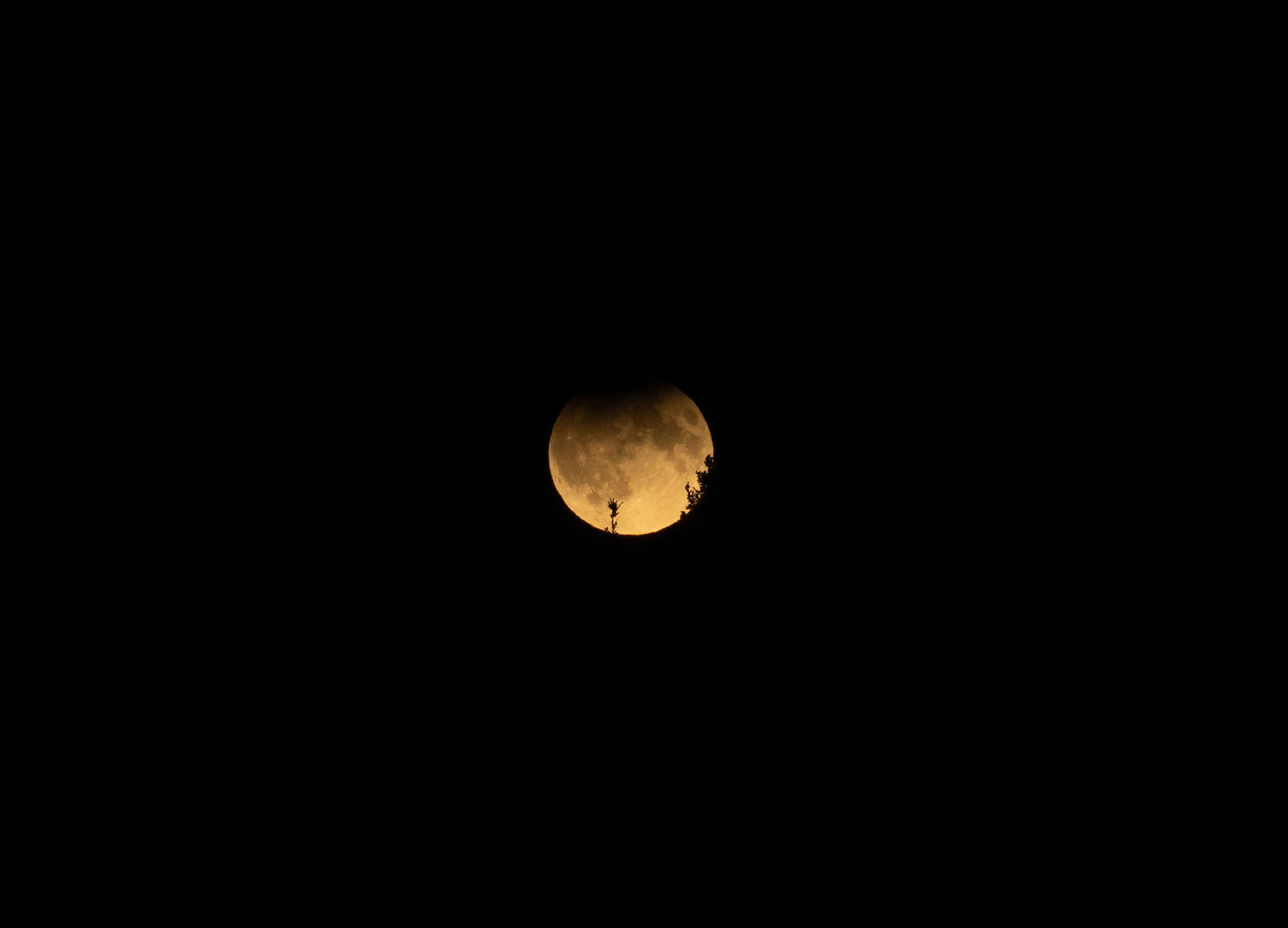 Moon at the Beaver Boardwalk Hinton