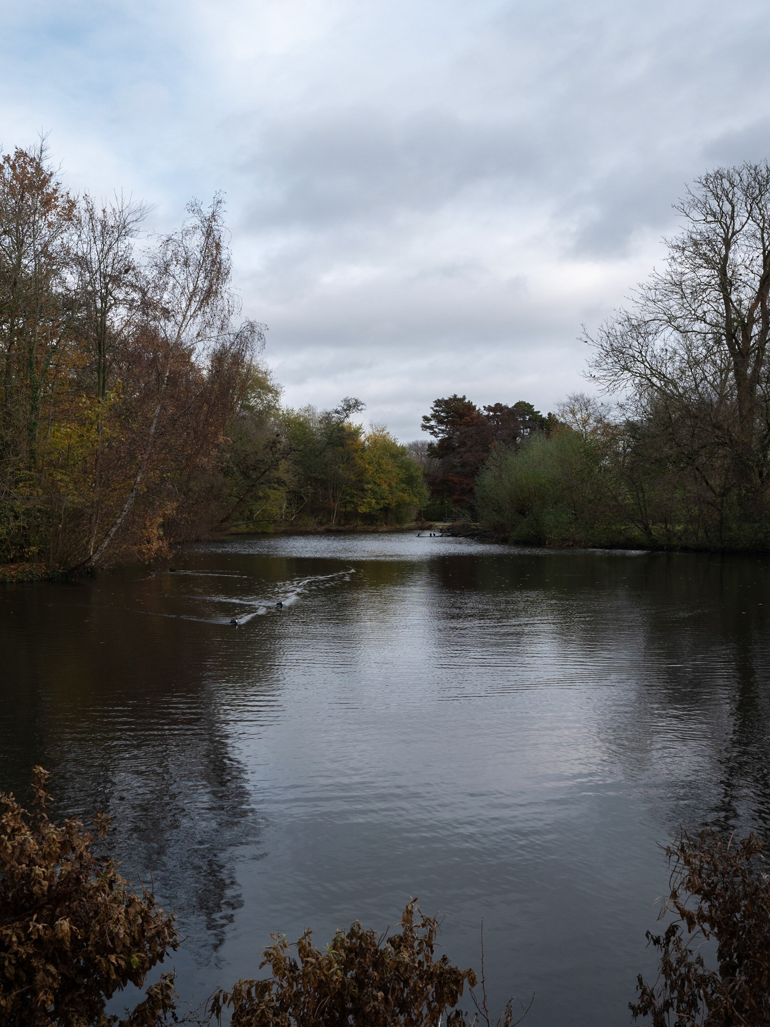 P1068120 Vondelpark