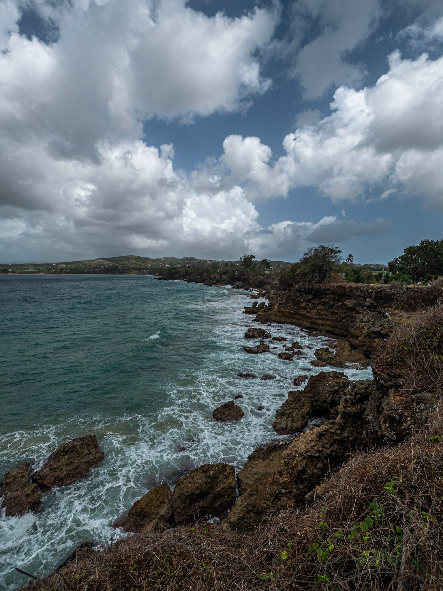 P1066133 West Coastline Black Rock Area