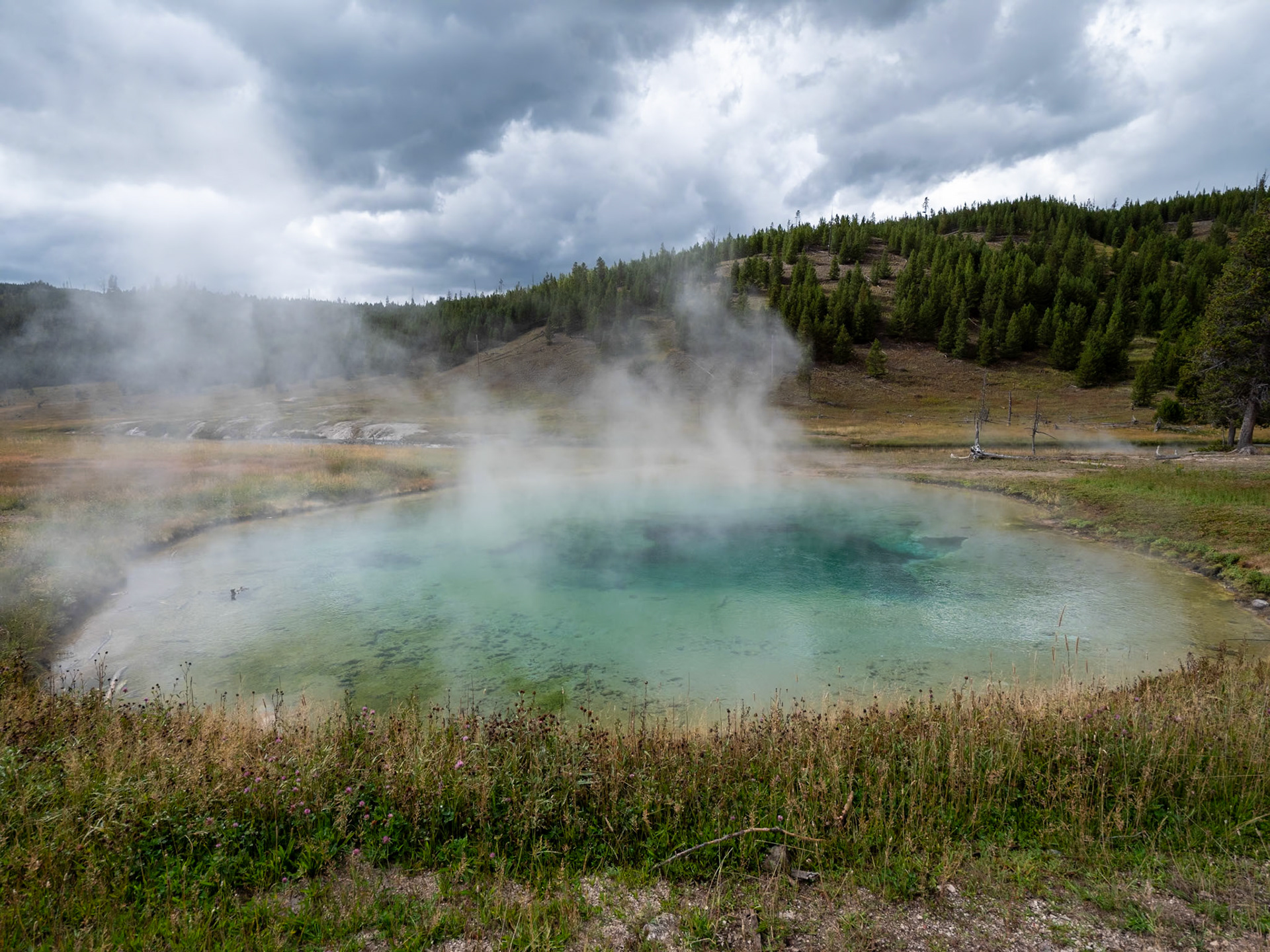 P1124294 Yellowstone National Park