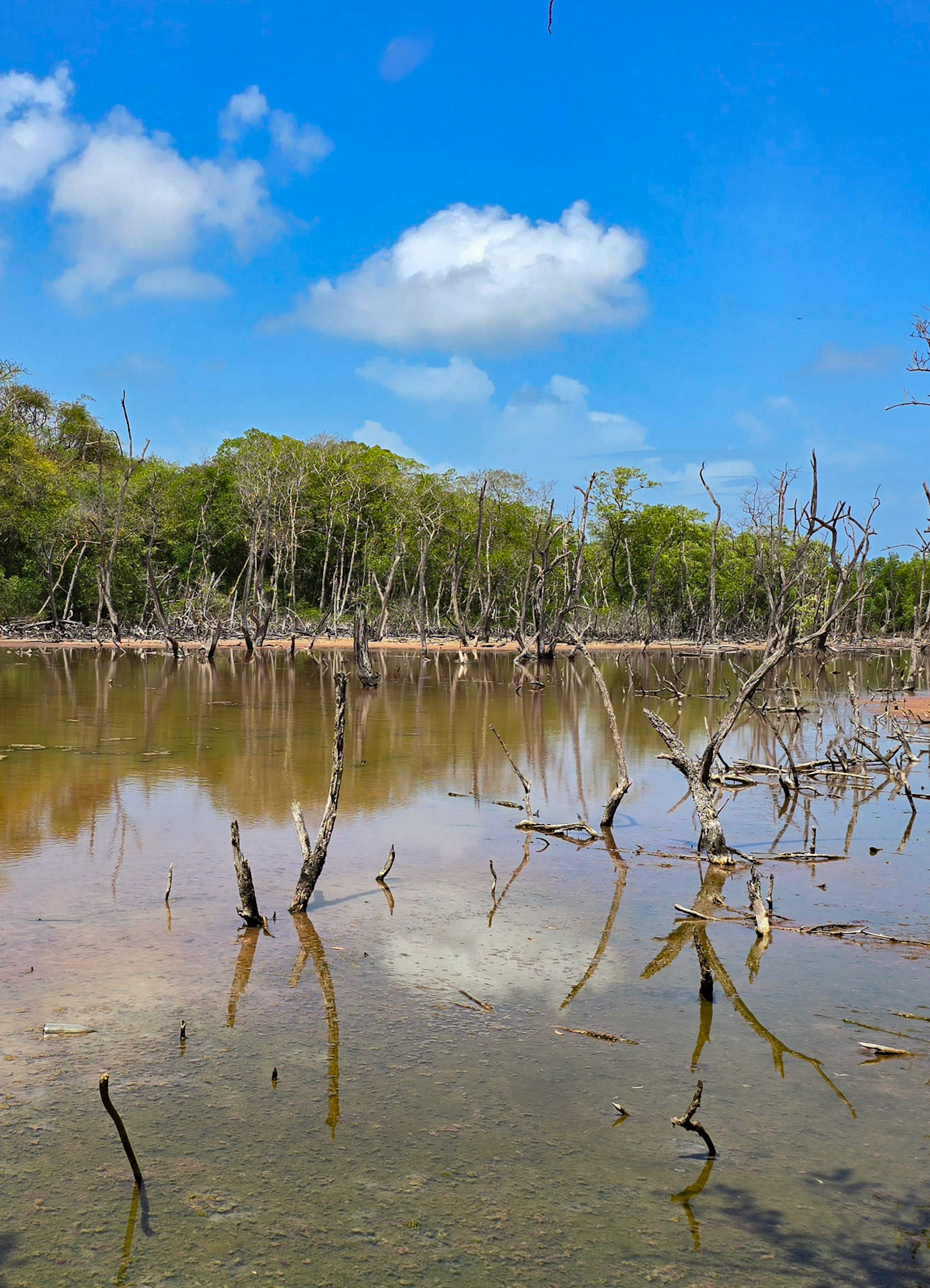 Lake area on the way to No Man's Land
