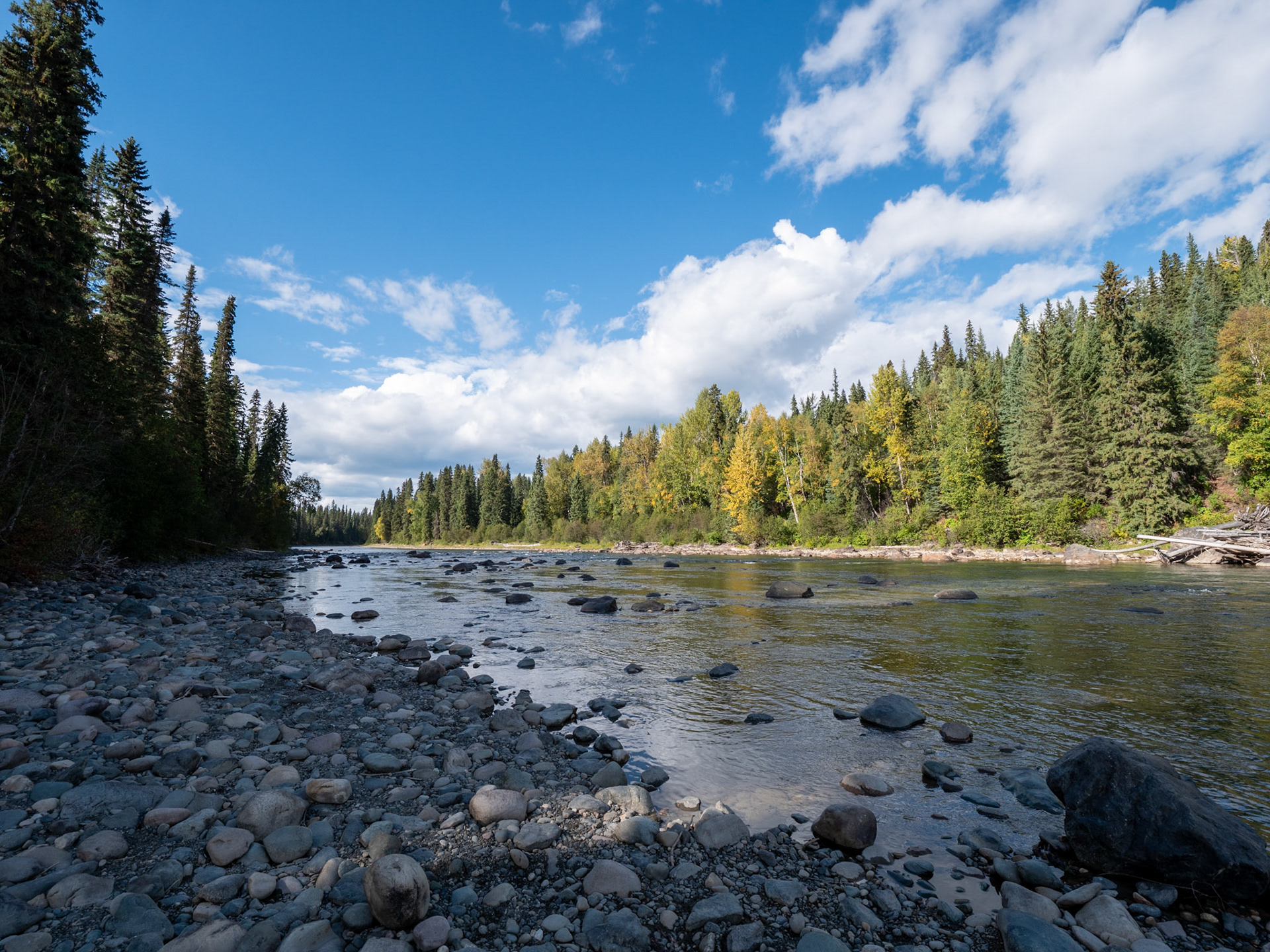 Bowron River off the Beaver Forest Service Rd