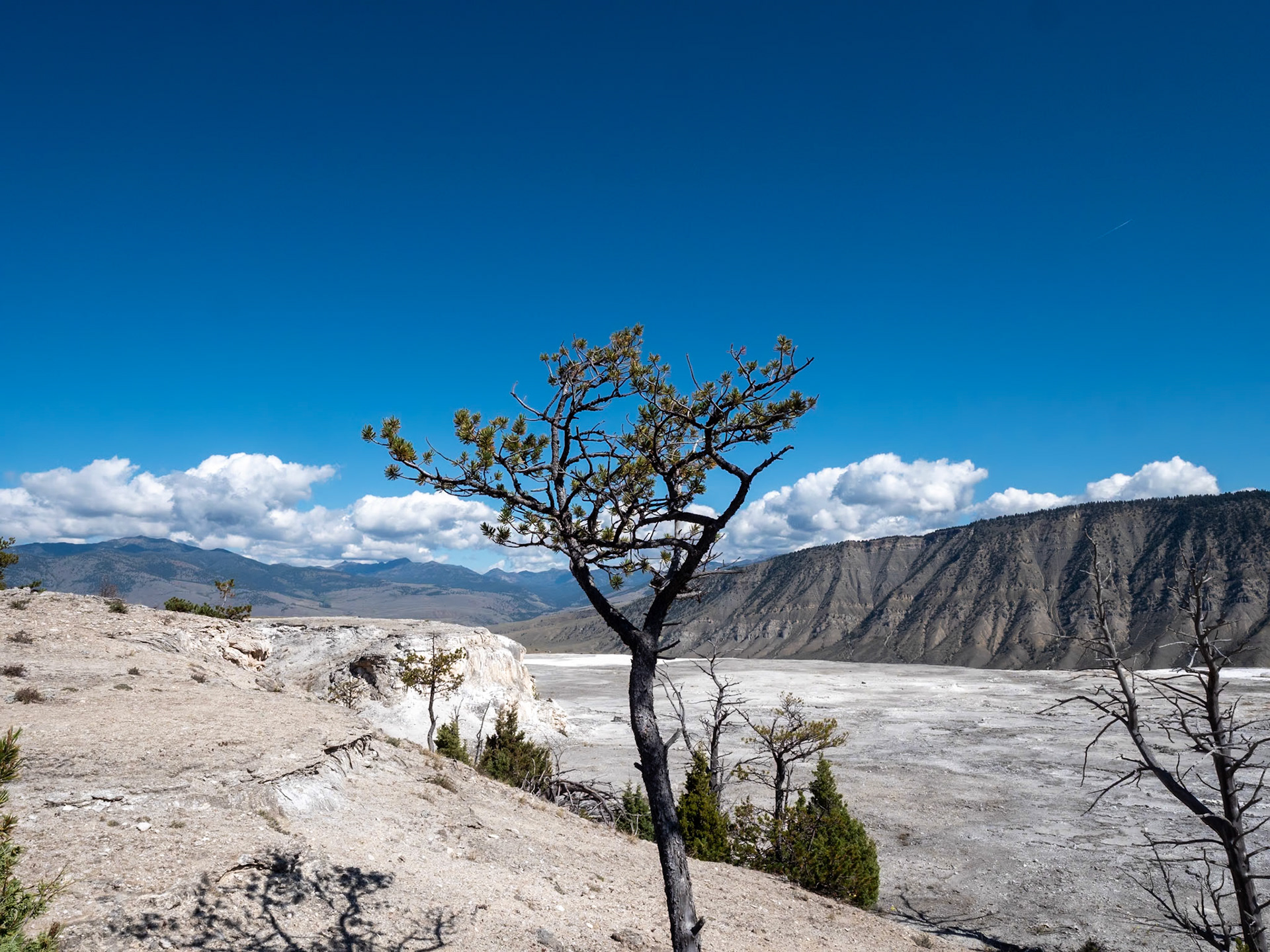 P1124566 Yellowstone National Park