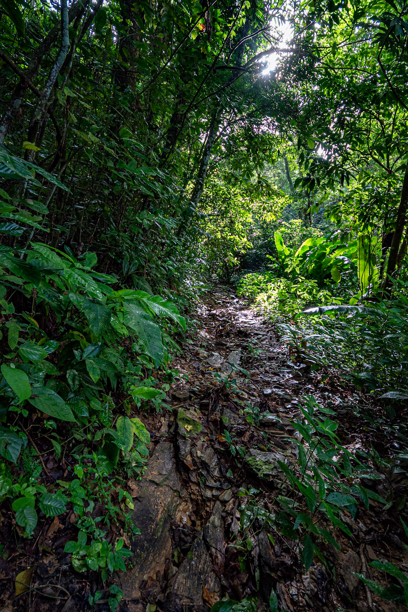 P1072268 Rocky slippery trail