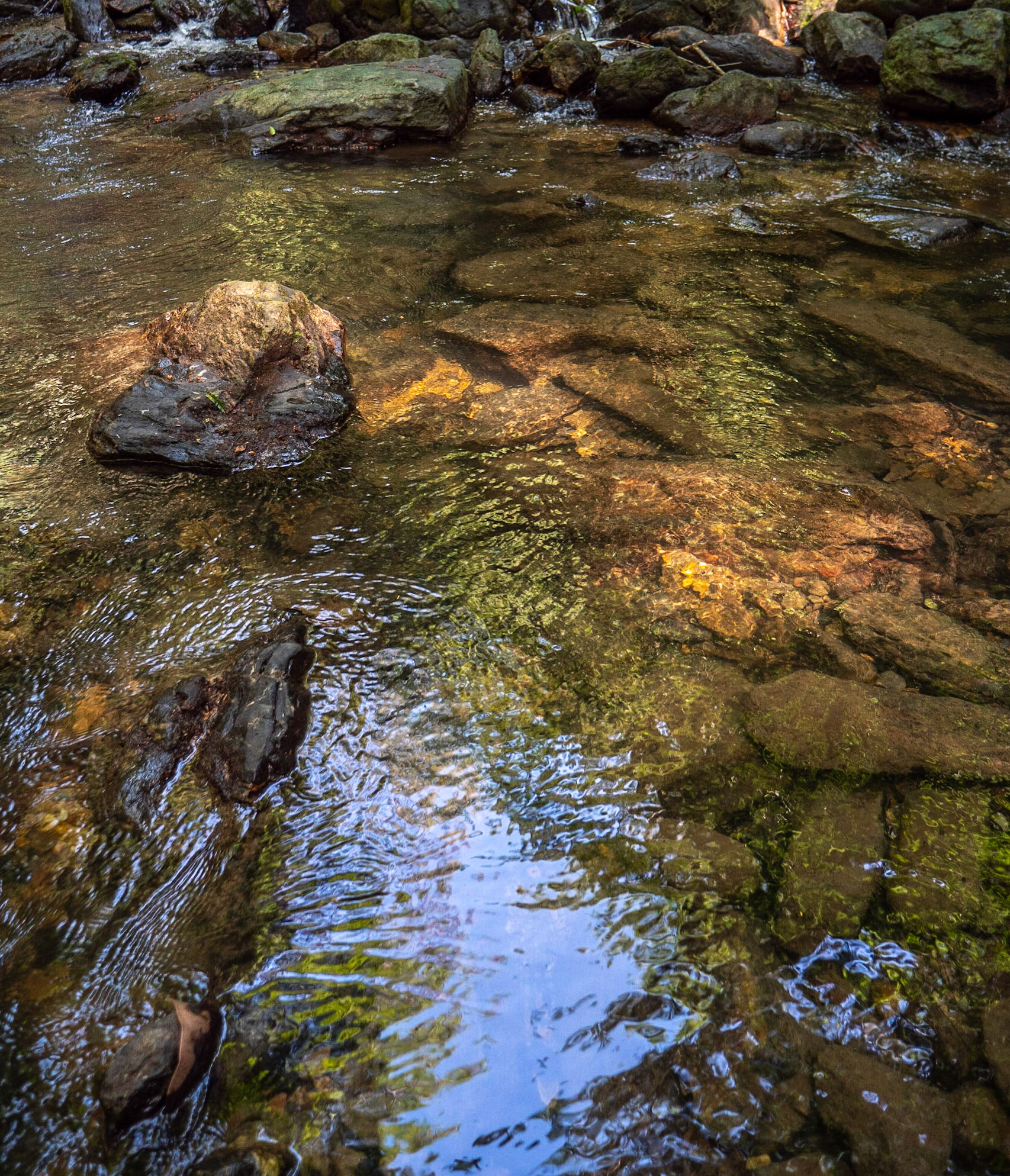 P1069047 Clear waters