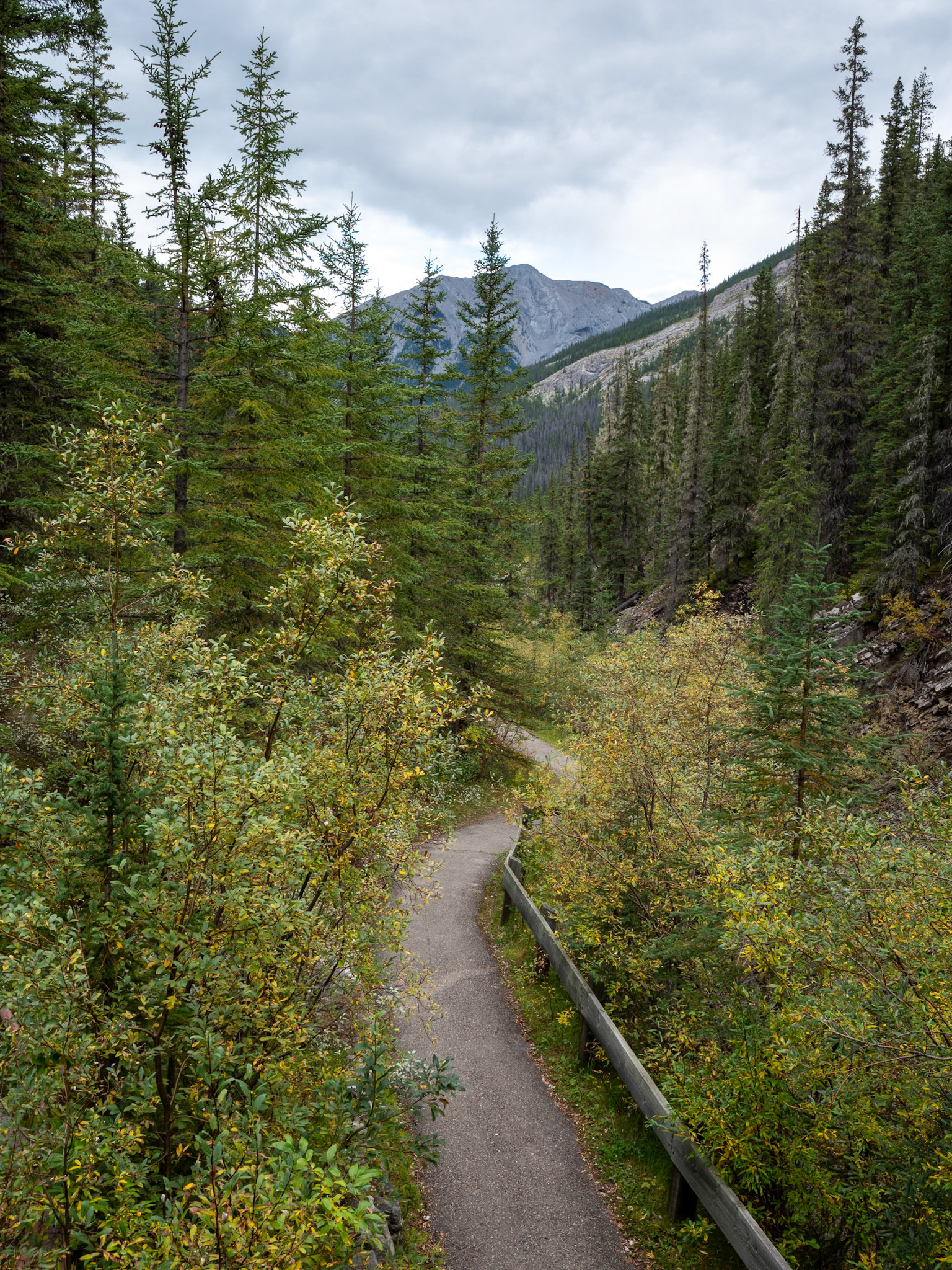 Miette Hot Springs