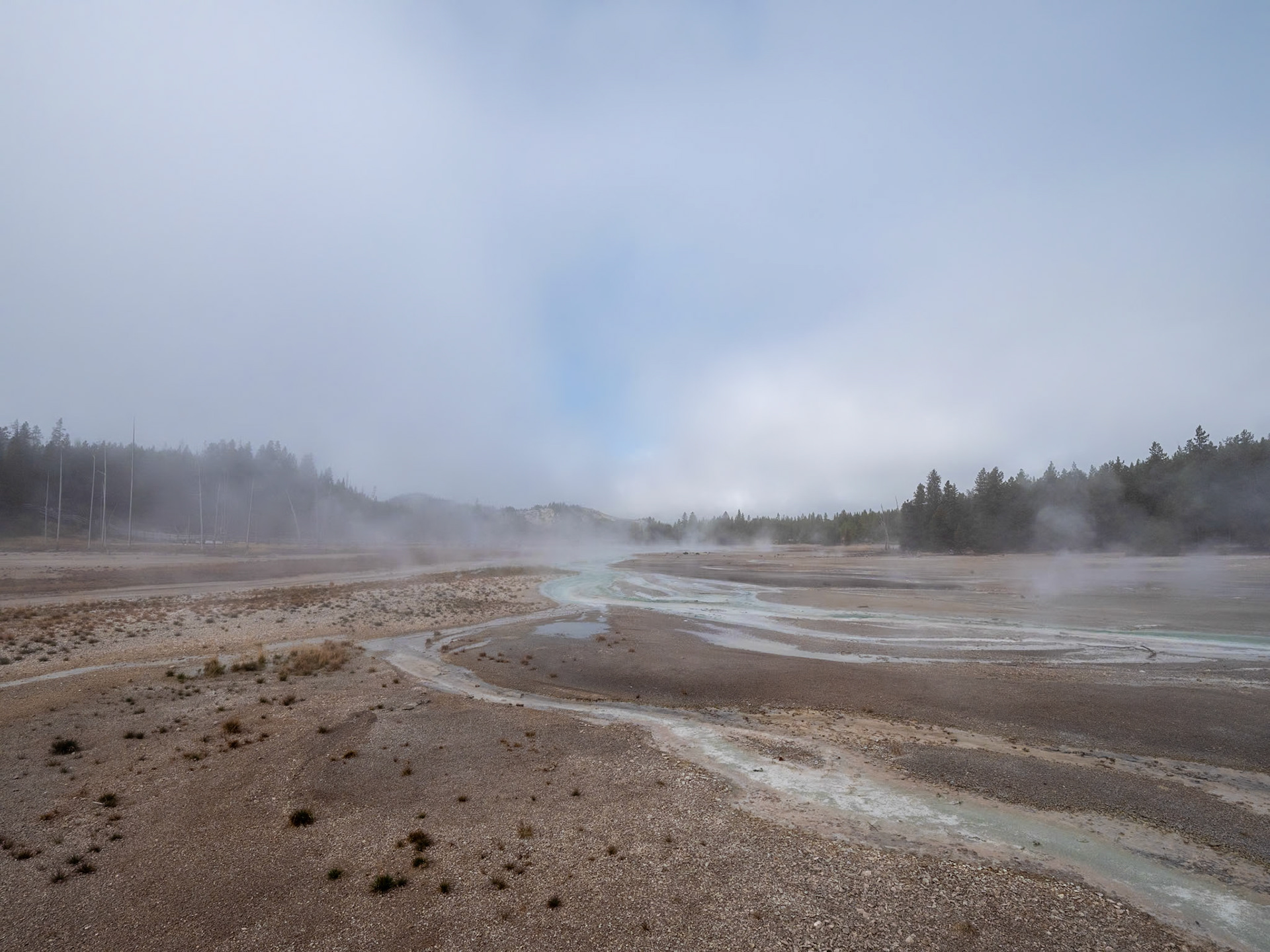 P1124465 Yellowstone National Park