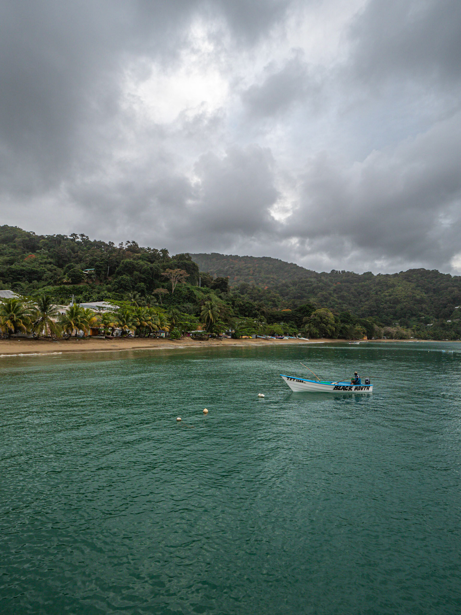 P1055171 Charlotteville