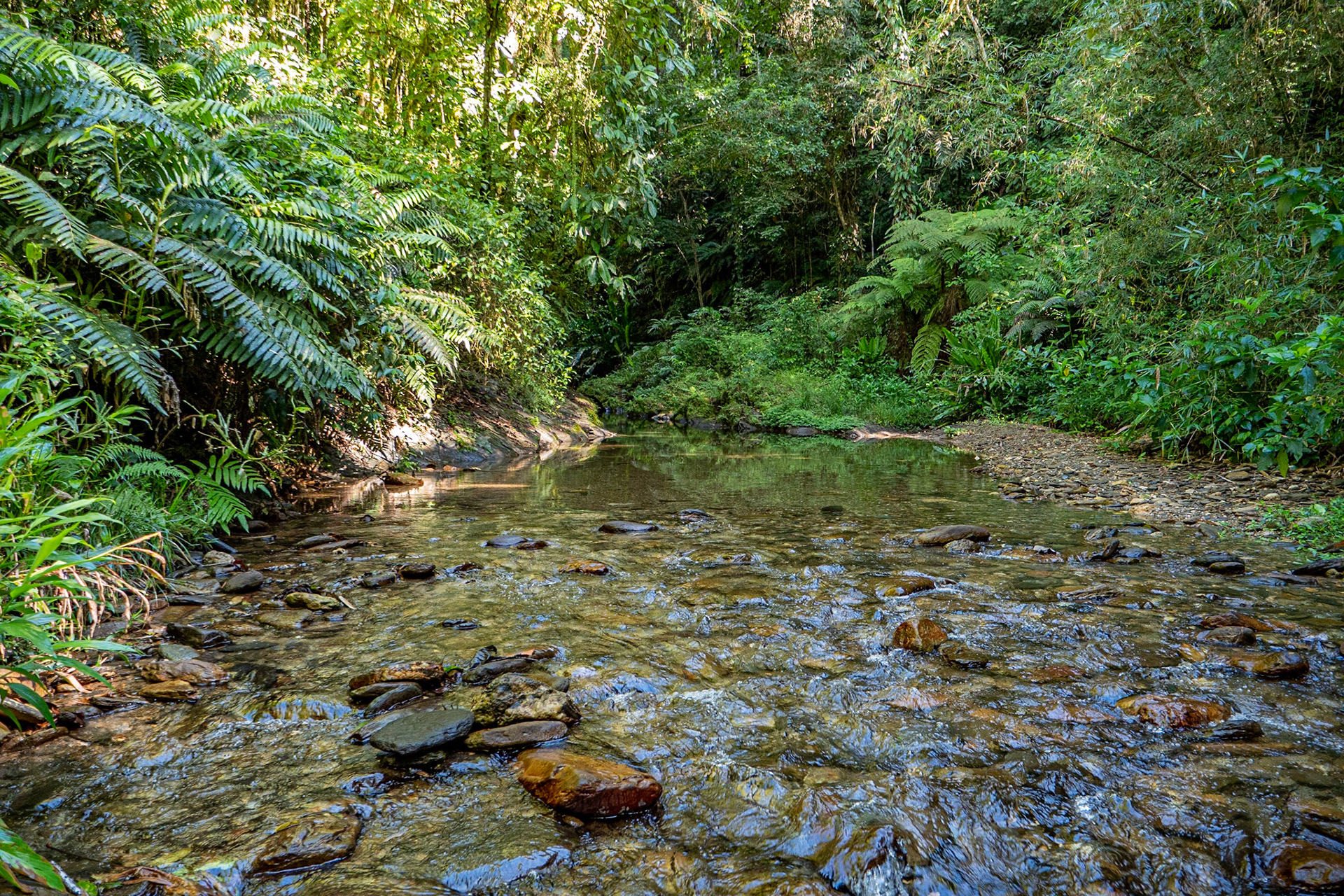 P1068931 Clear water river