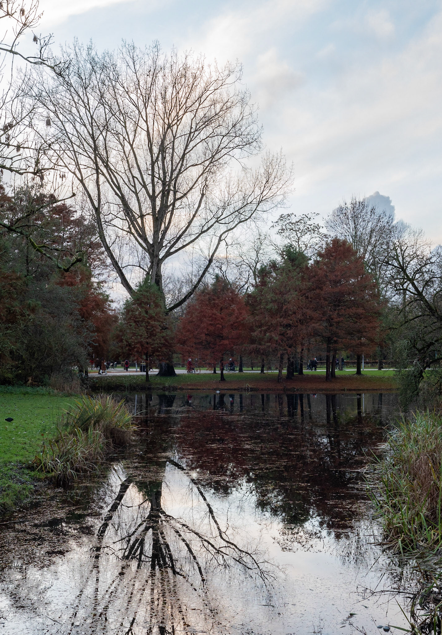 P1068328 Vondelpark
