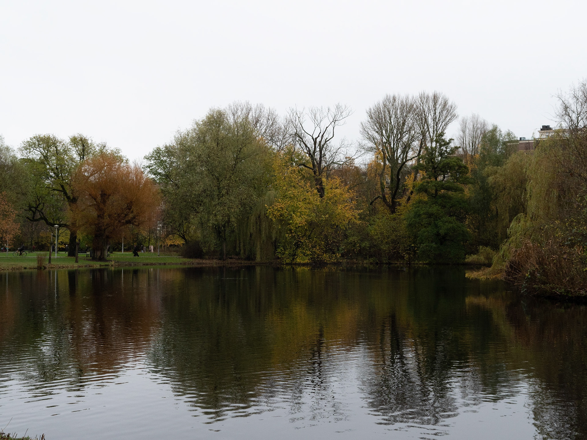 P1068260 Vondelpark "Beauty of Autumn"