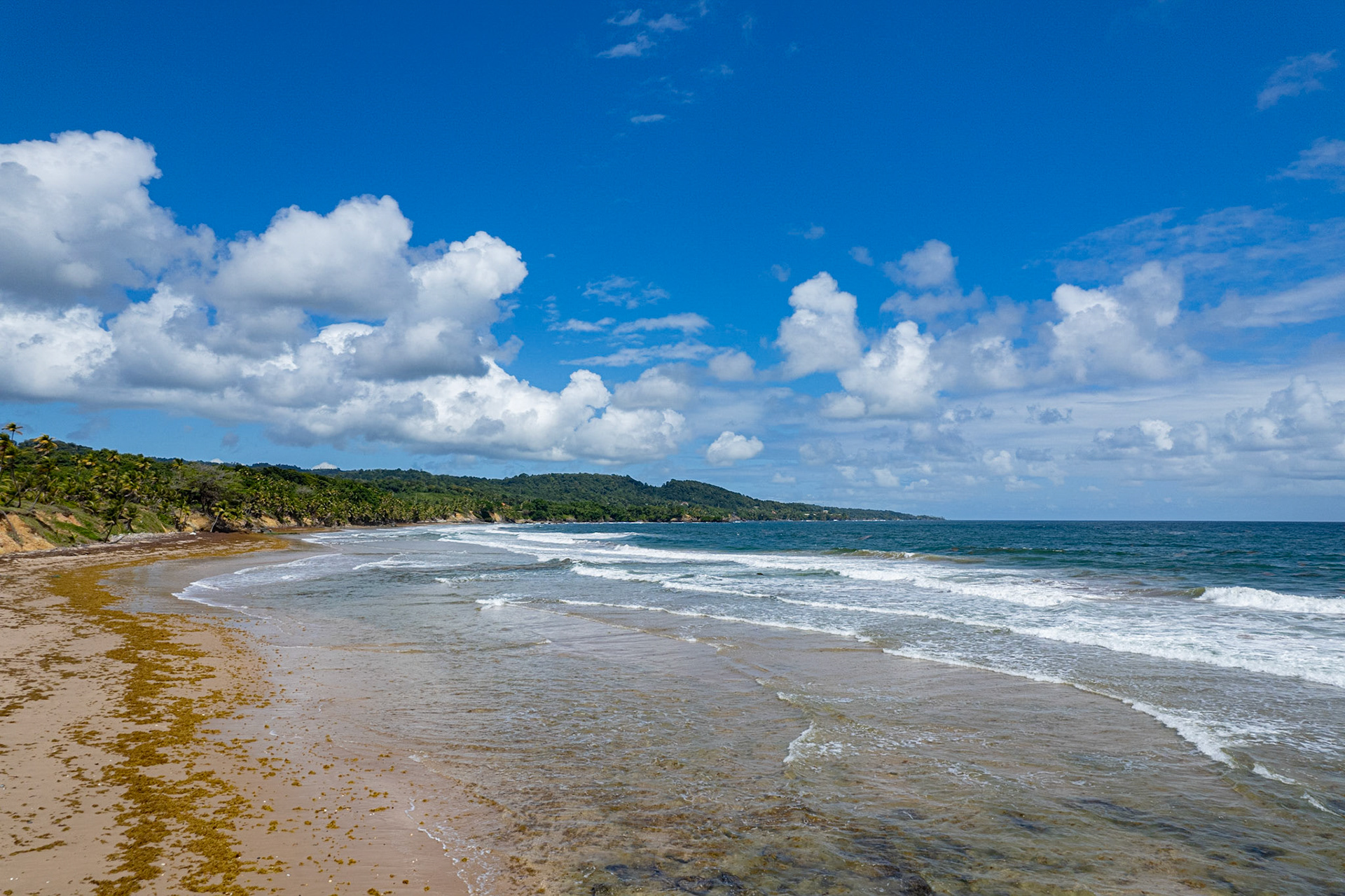 DJI_0420 The beach