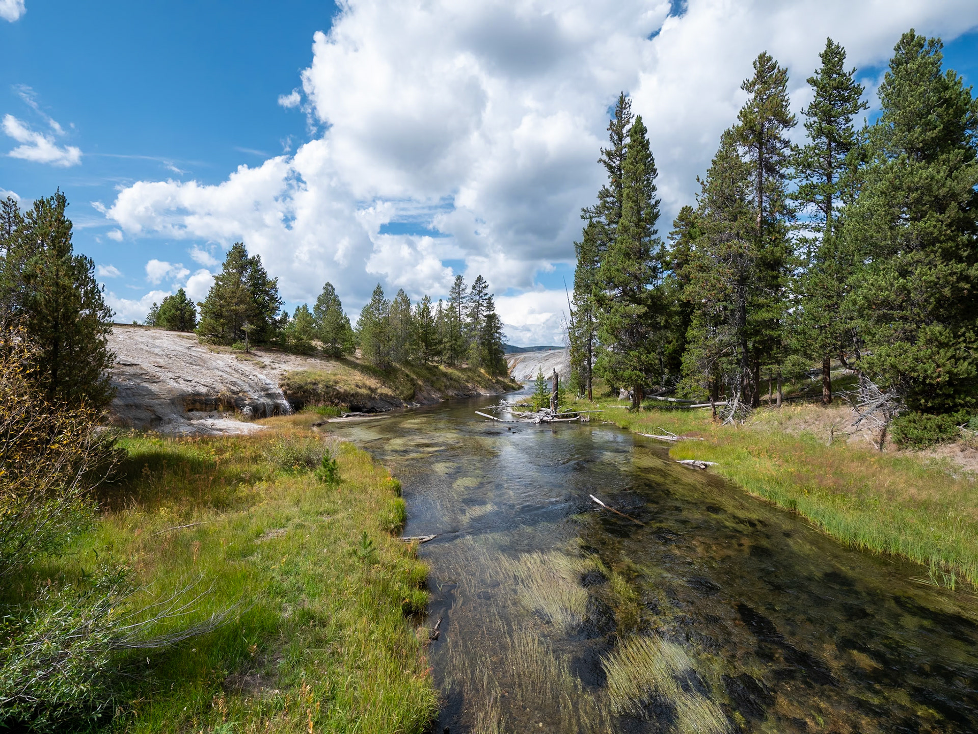P1124272 Yellowstone National Park
