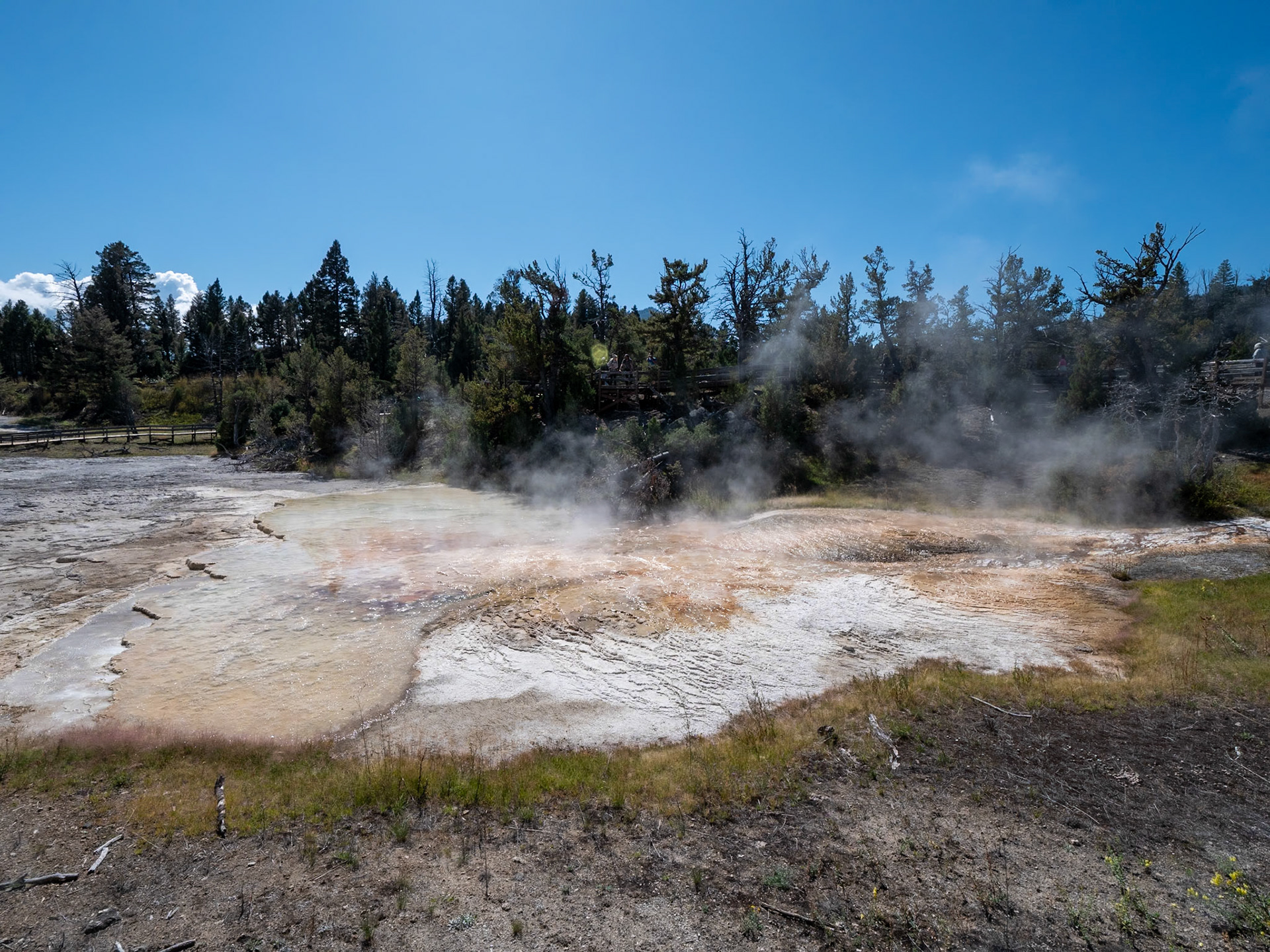 P1124565 Yellowstone National Park