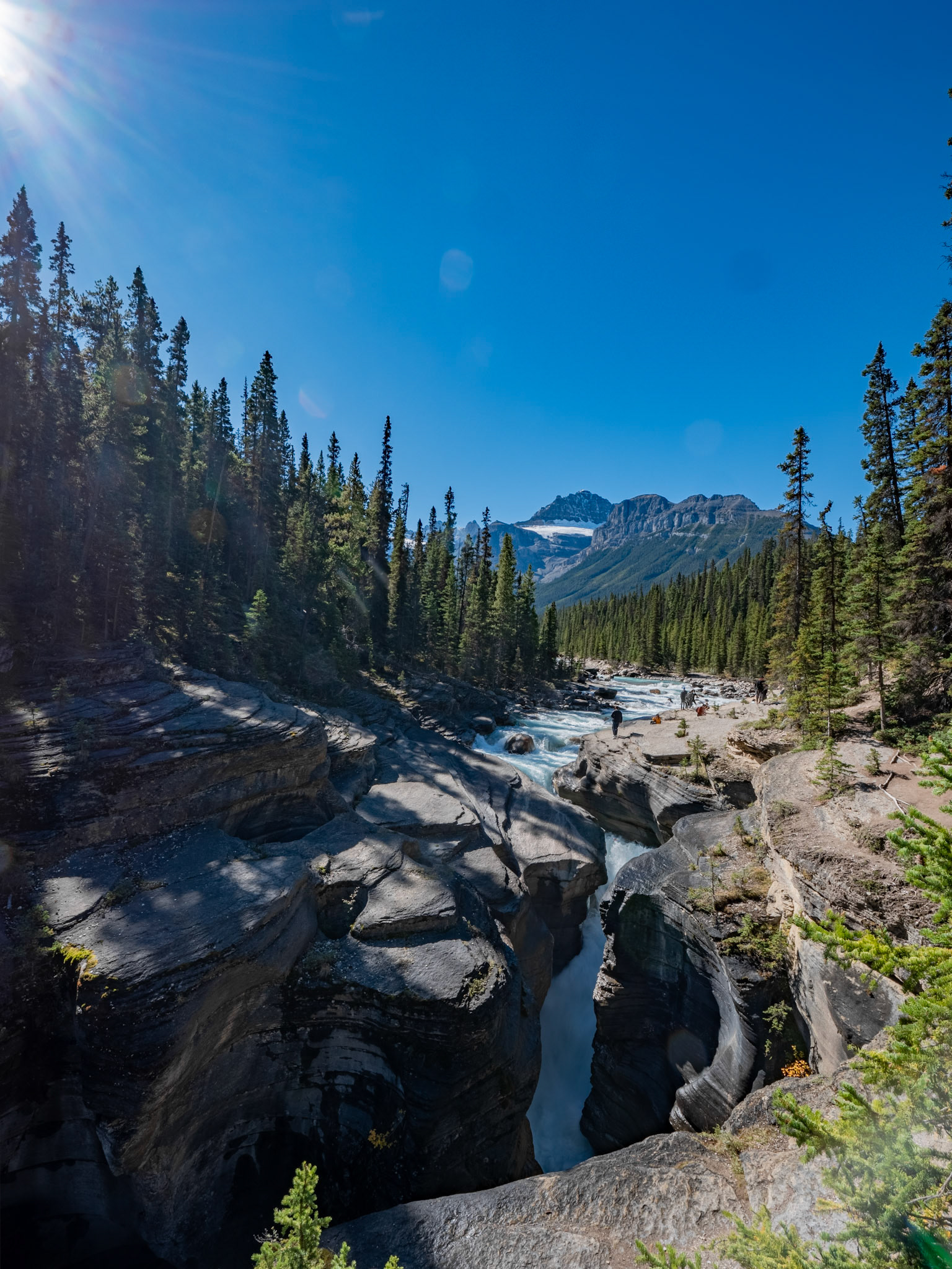 Waterfall off Icefield Parkway