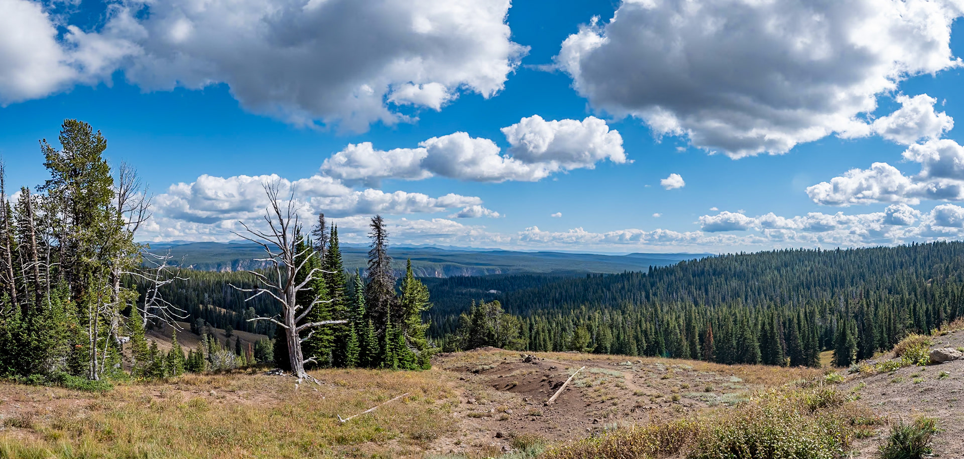 P1134632 Yellowstone National Park