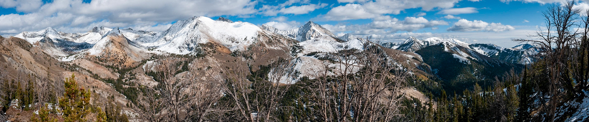 Panoramic view