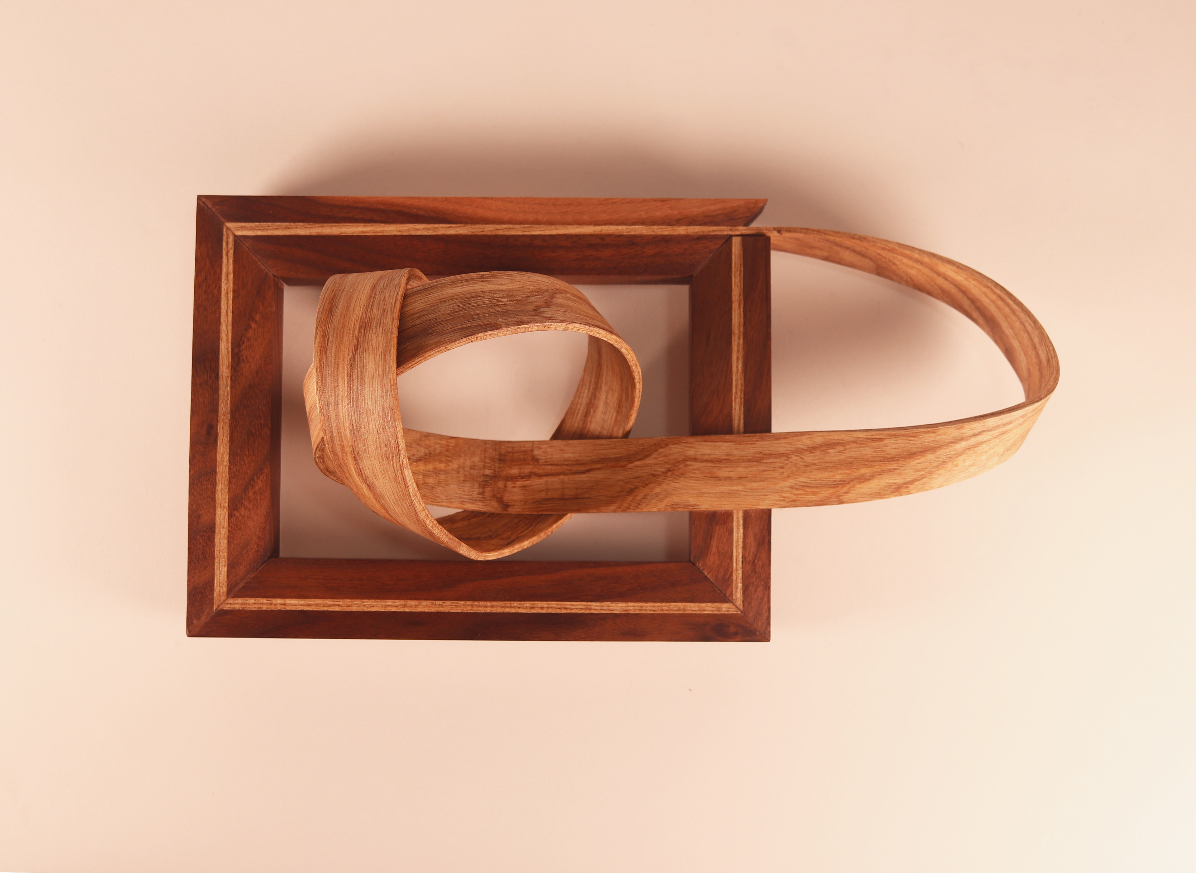 Spirted Wood # 18 - 7x9 inches - walnut and Hackberry wood