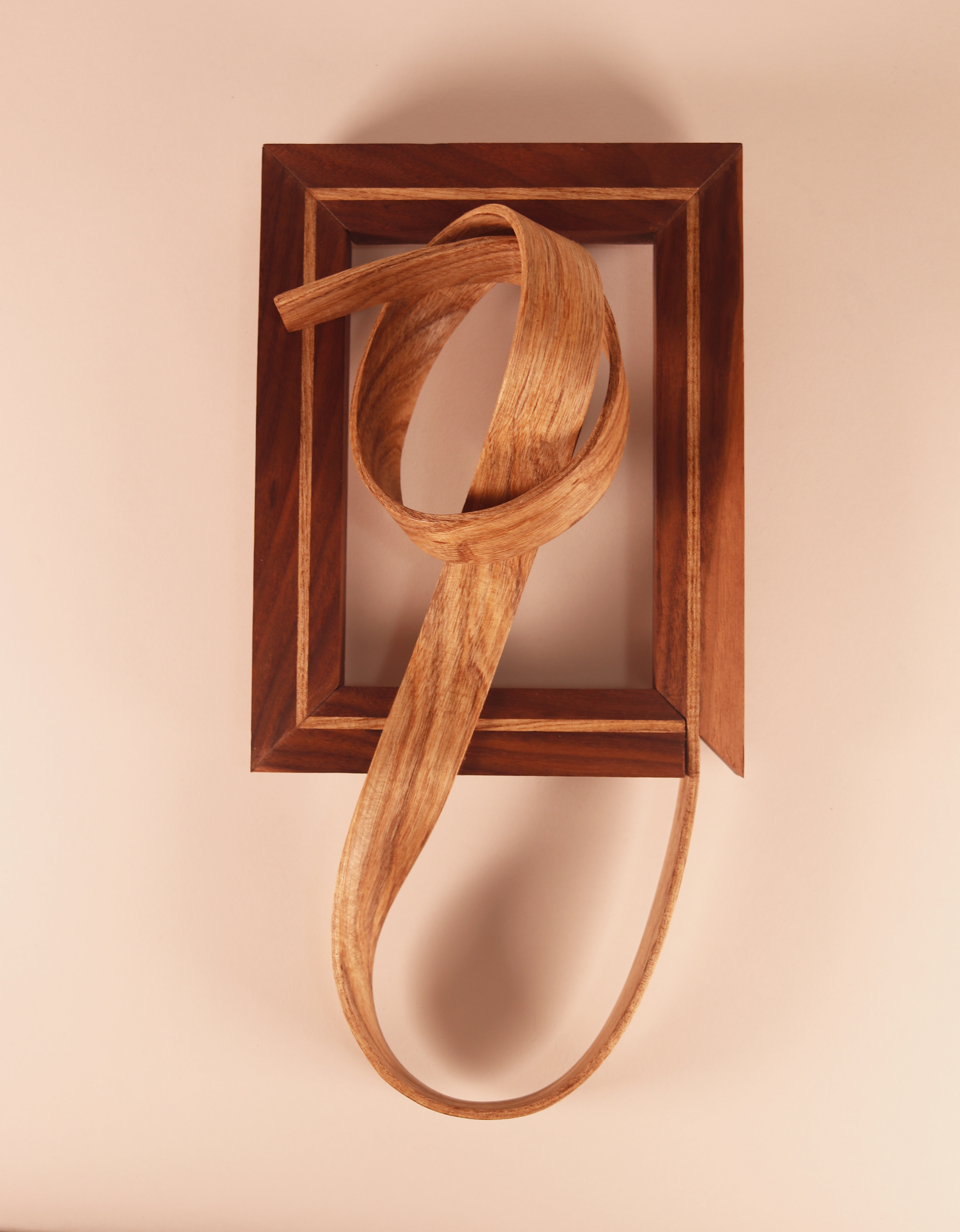 Spirted Wood # 19 - 7x9 inches - walnut and Hackberry wood