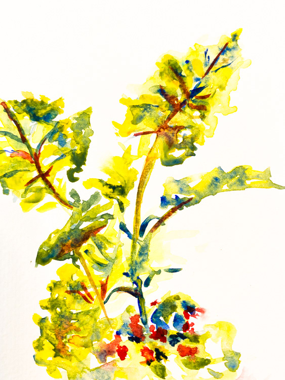 Untitled, Watercolor, 5 1/2" x 8"