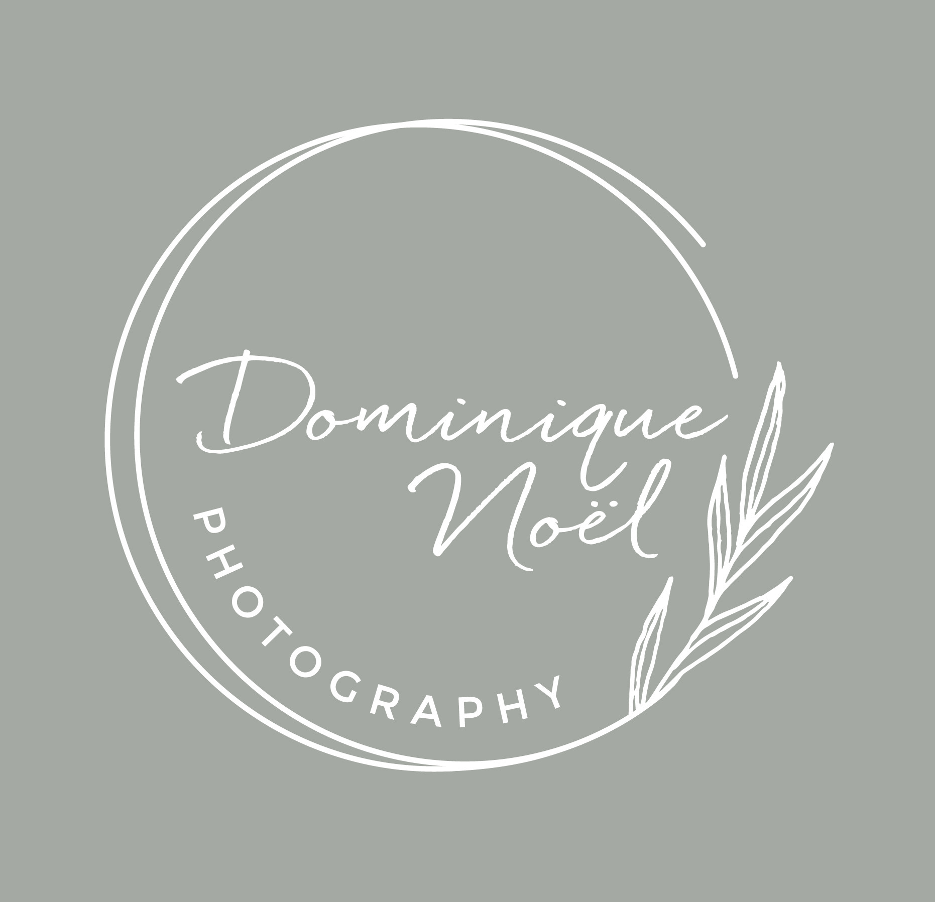 Dominique NOEL - Photographe